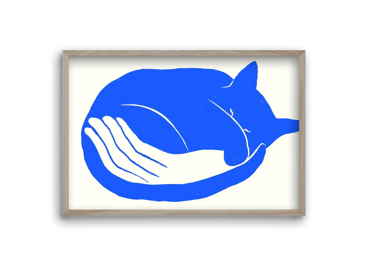 Cosy Cat - artbridge