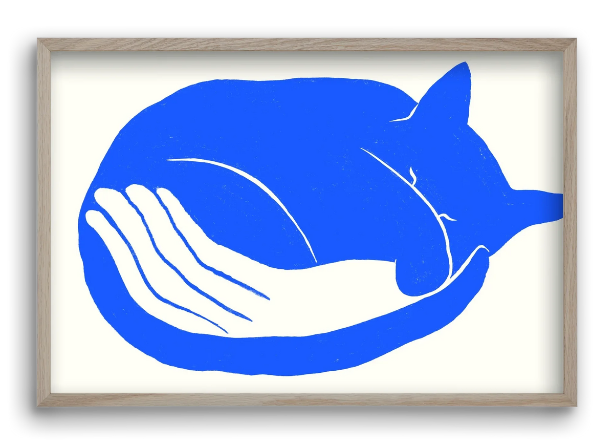 Cosy Cat - artbridge