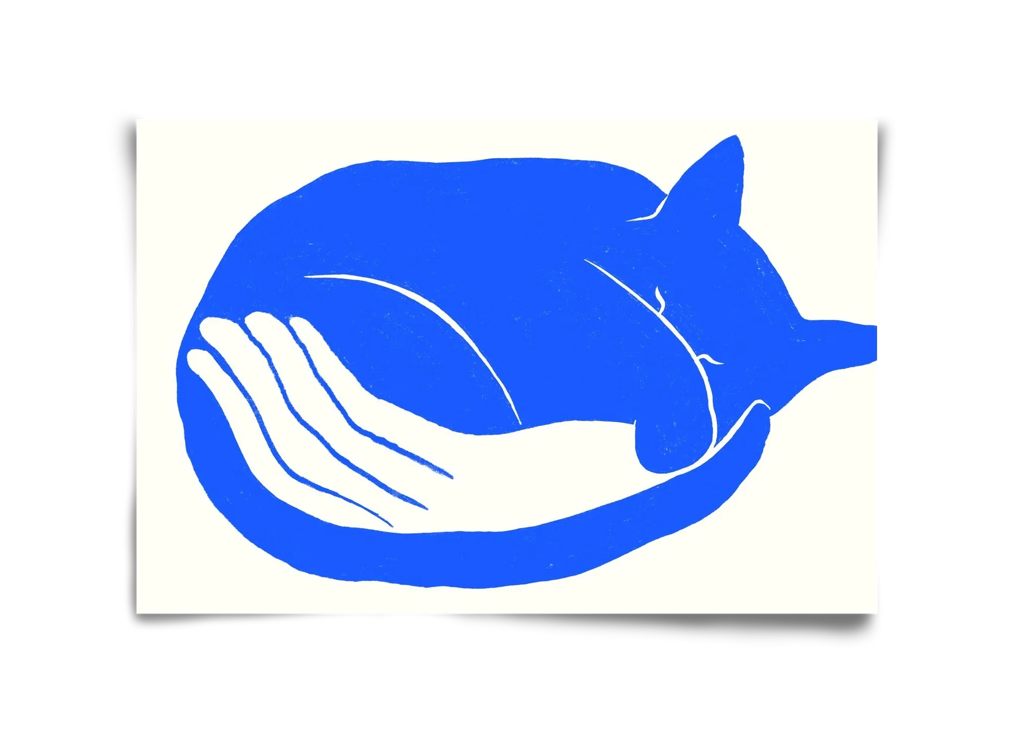 Cosy Cat - artbridge
