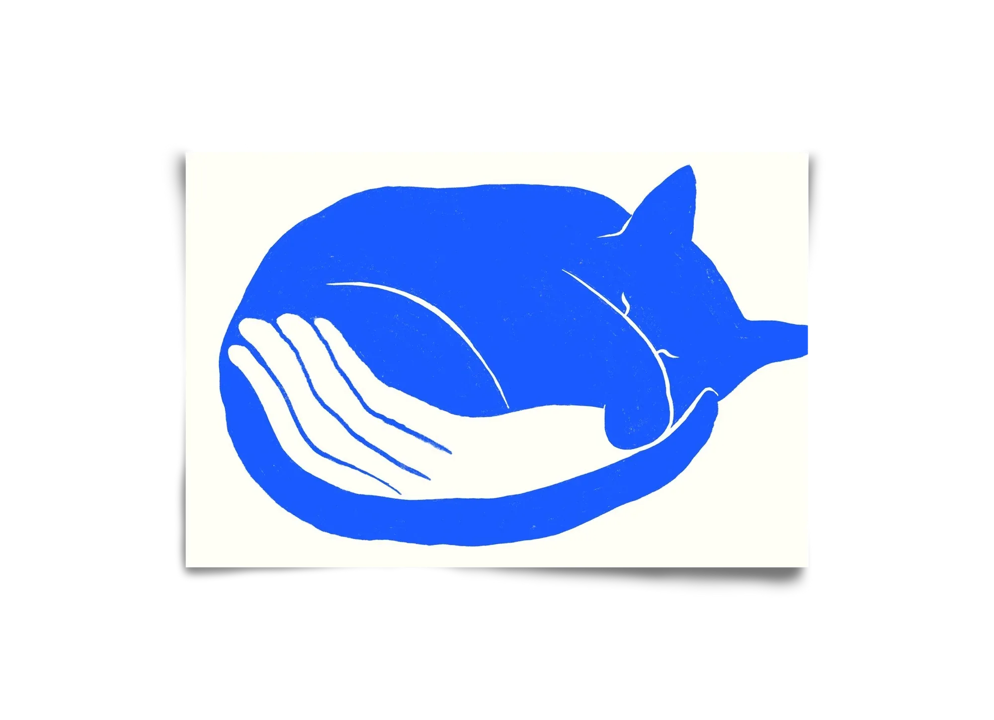 Cosy Cat - artbridge