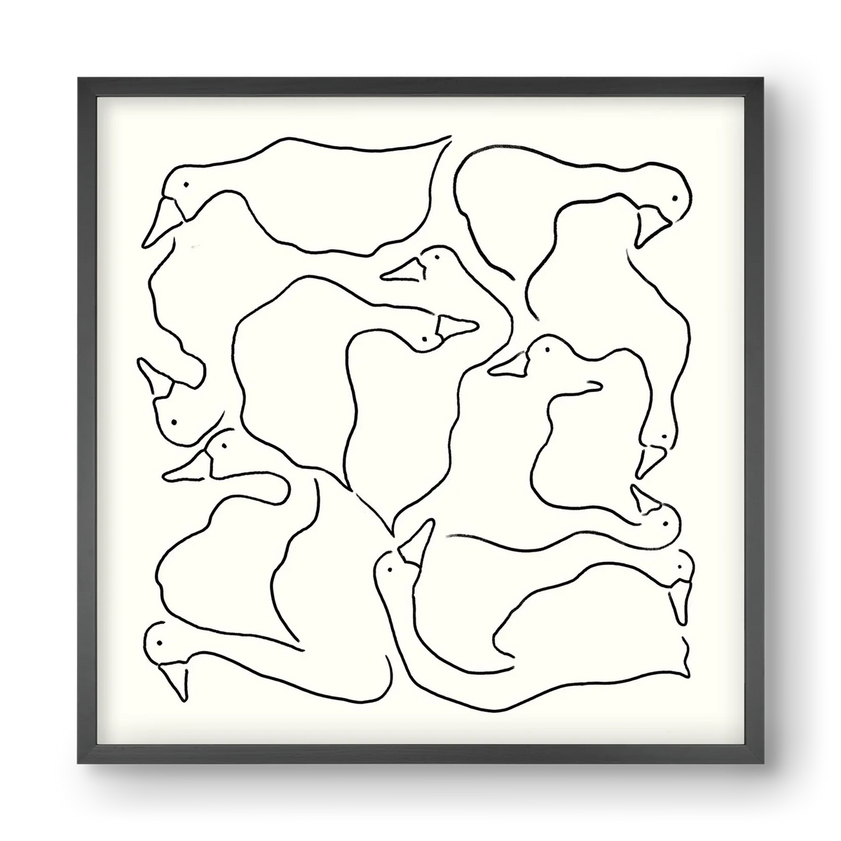 Duck Duck Goose in black and white - artbridge