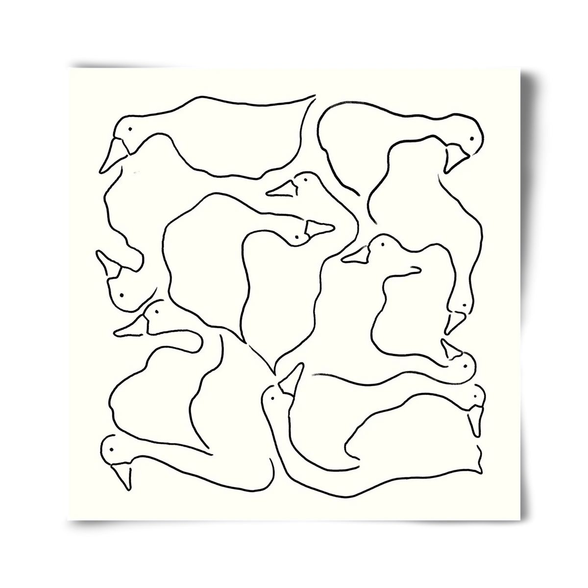 Duck Duck Goose in black and white - artbridge