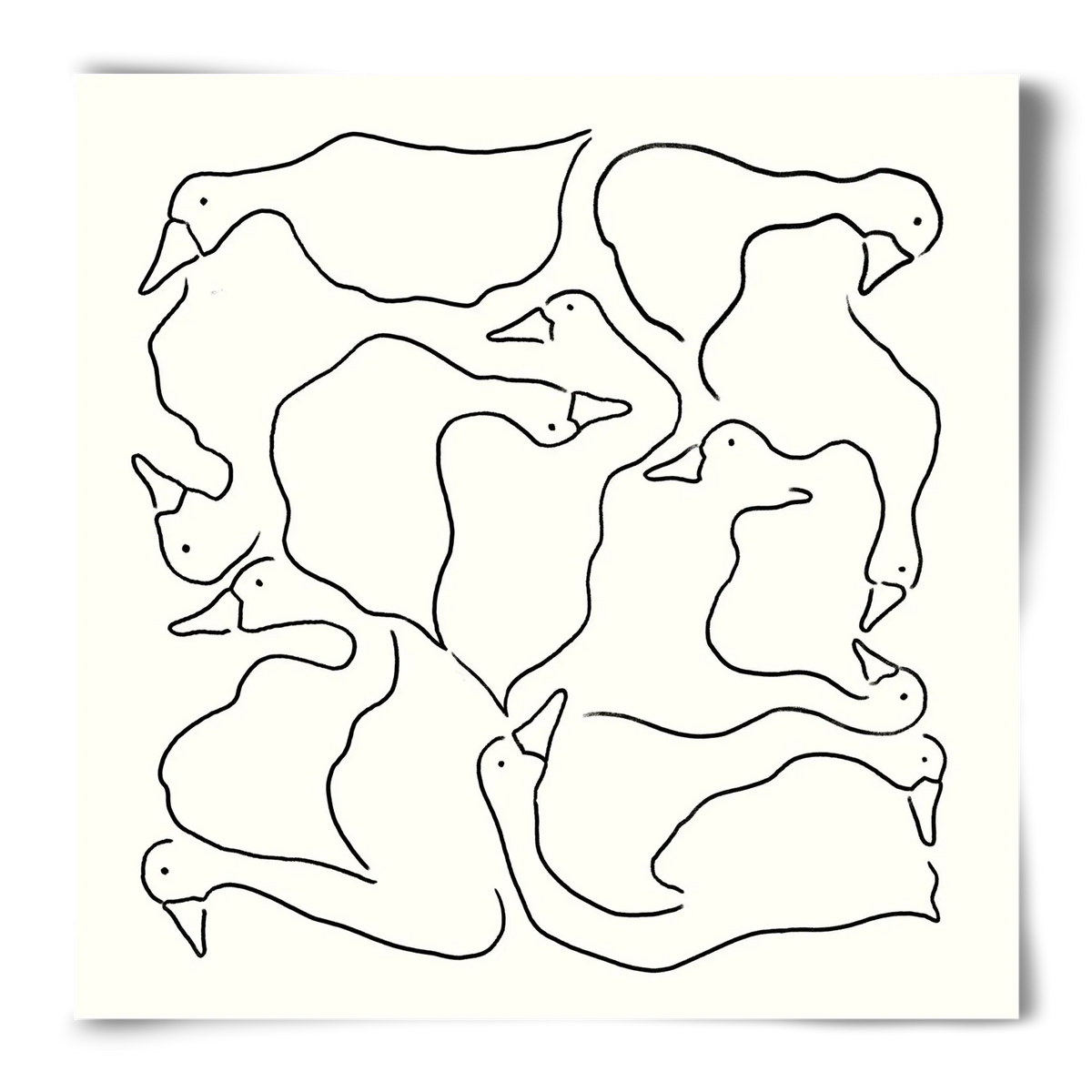 Duck Duck Goose in black and white - artbridge