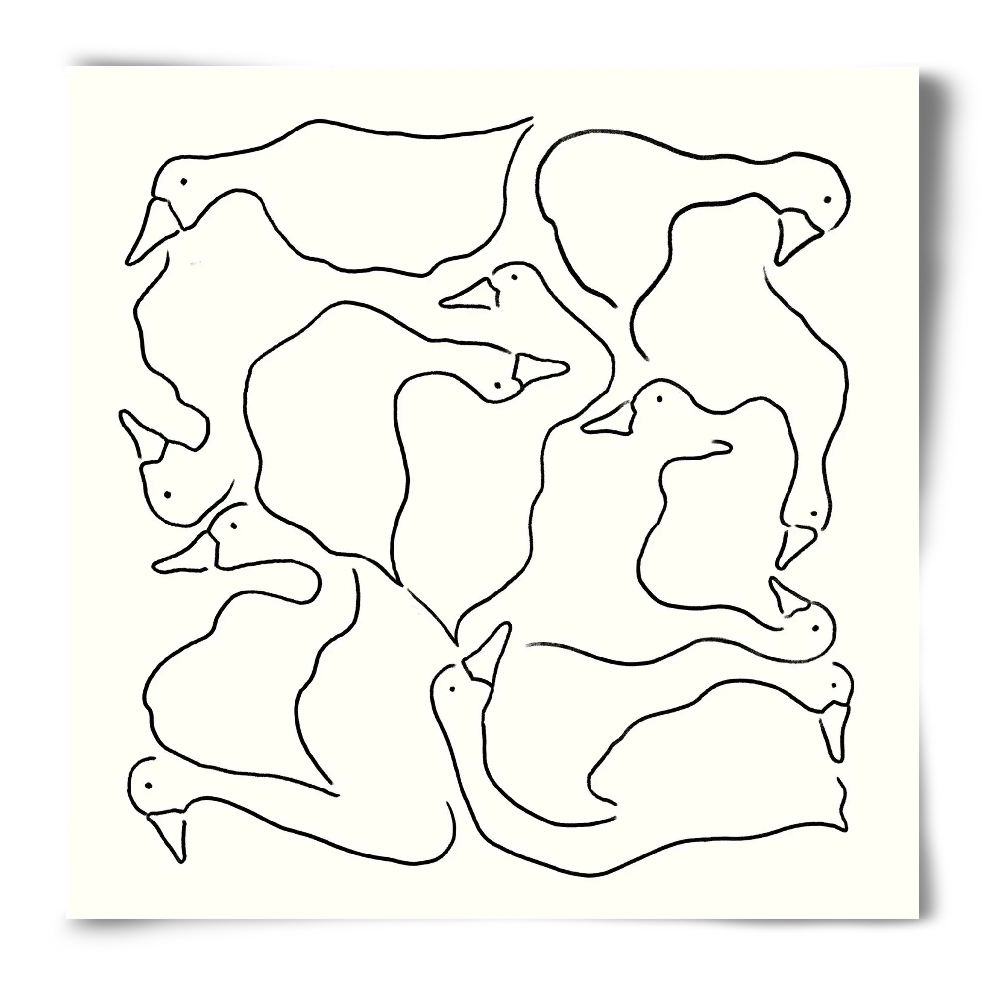 Duck Duck Goose in black and white - artbridge