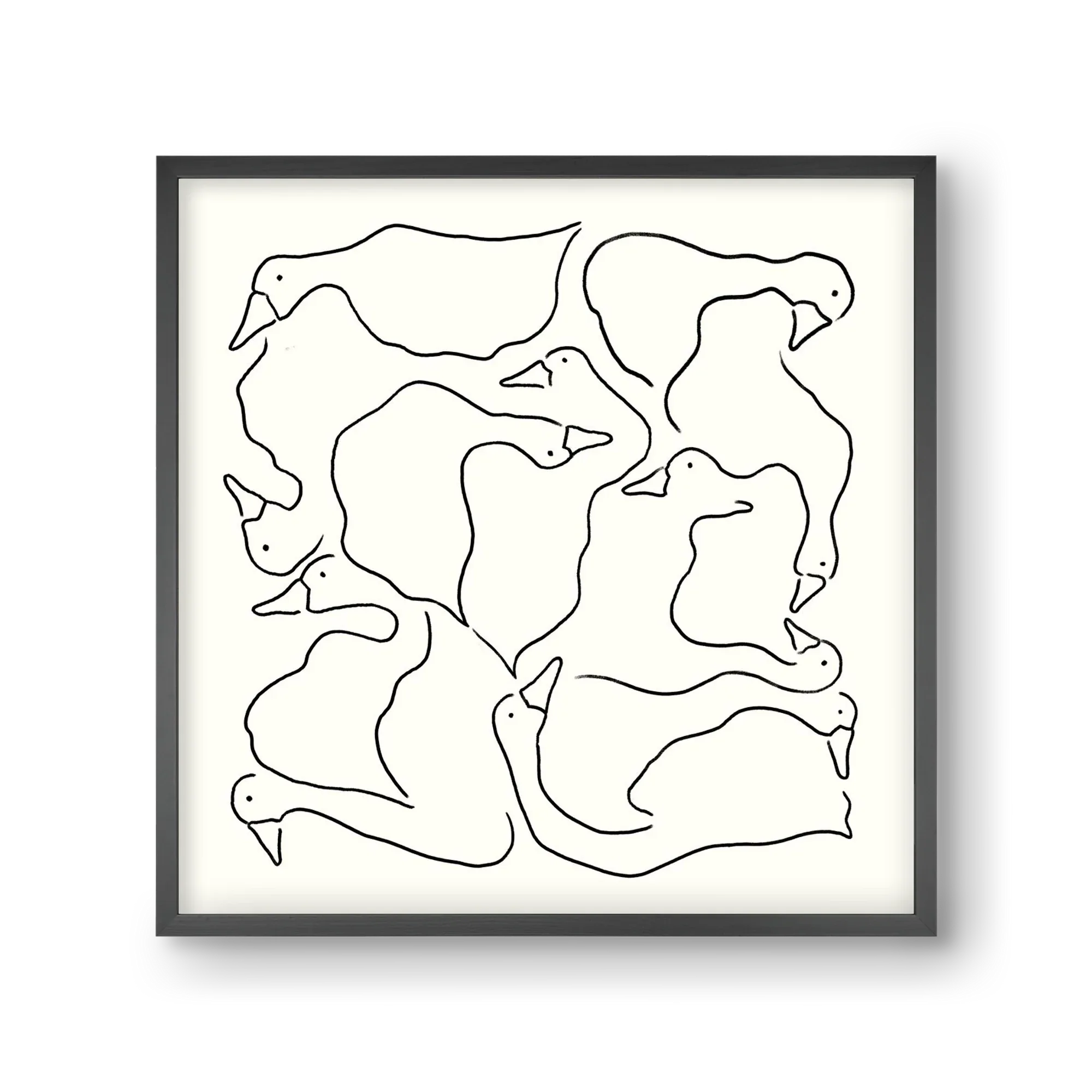 Duck Duck Goose in black and white - artbridge