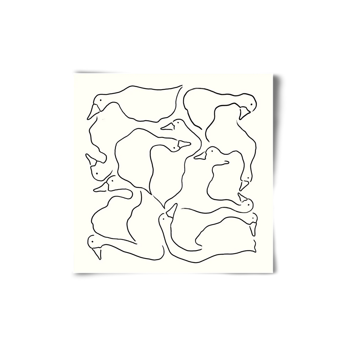 Duck Duck Goose in black and white - artbridge