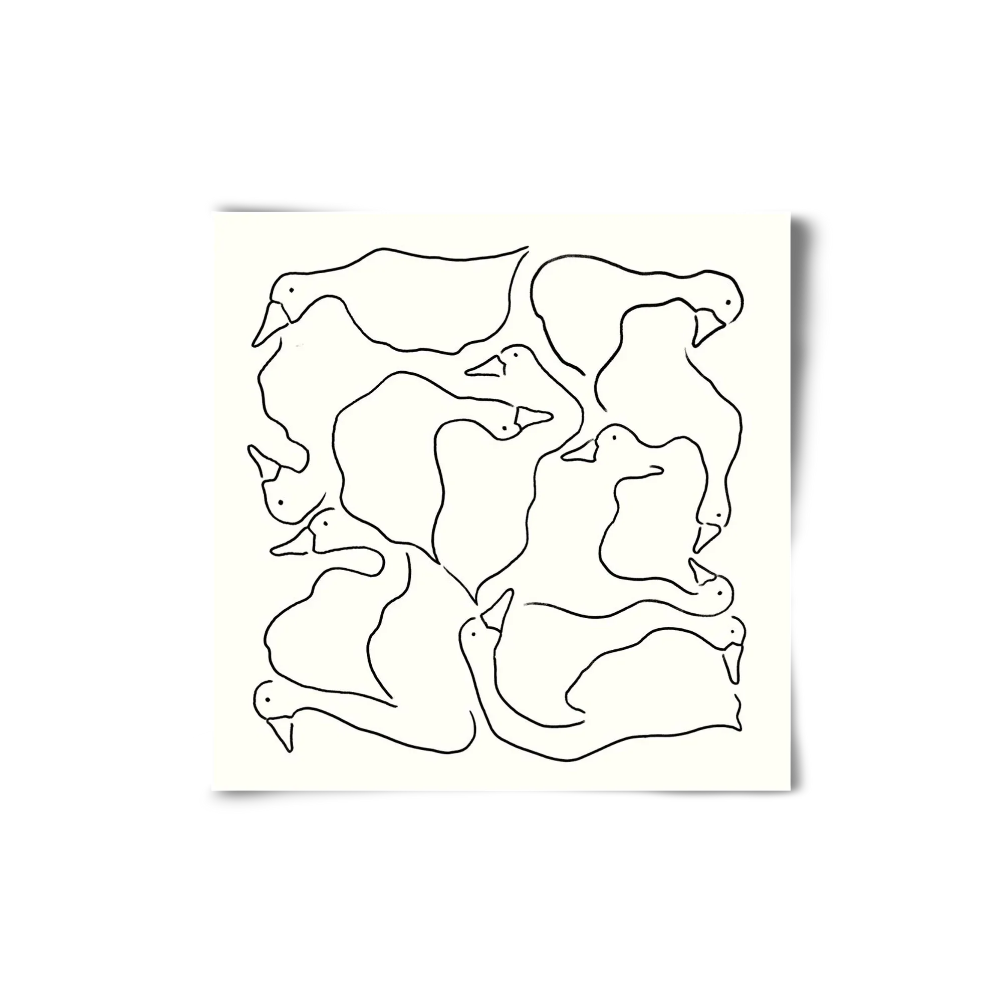 Duck Duck Goose in black and white - artbridge