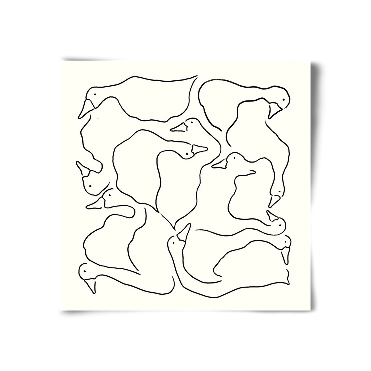 Duck Duck Goose in black and white - artbridge