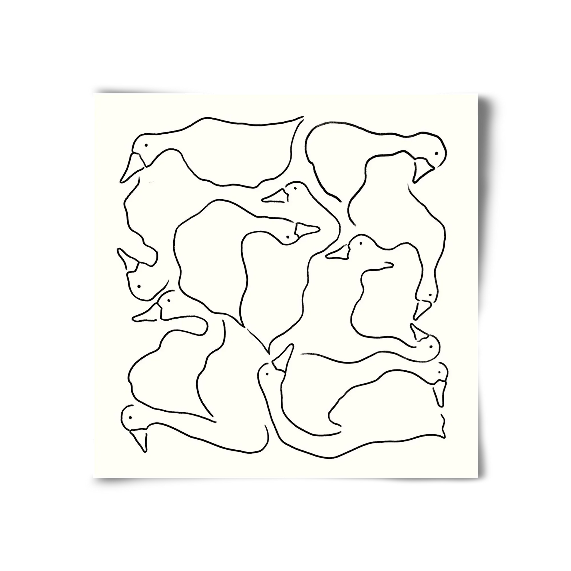 Duck Duck Goose in black and white - artbridge