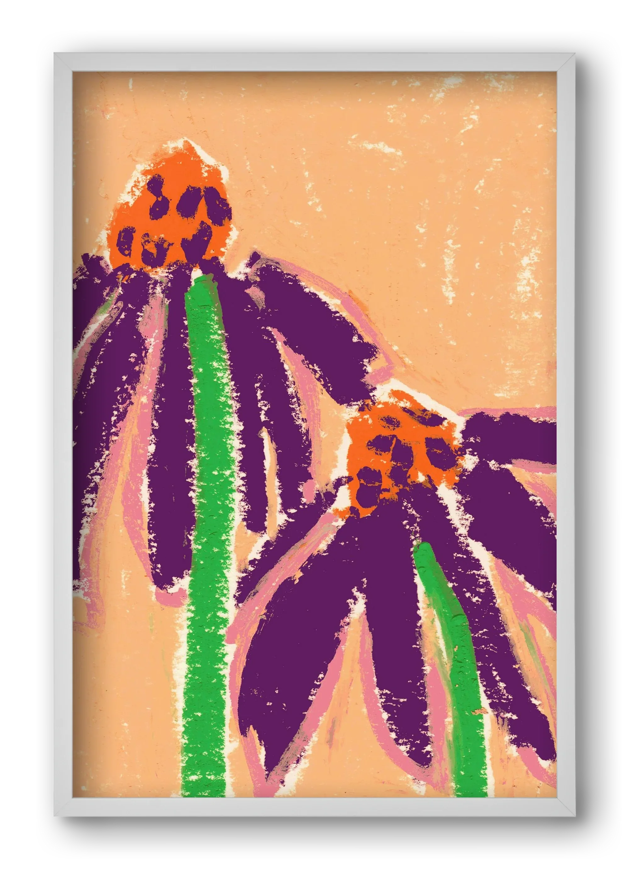 Echinacea - artbridge