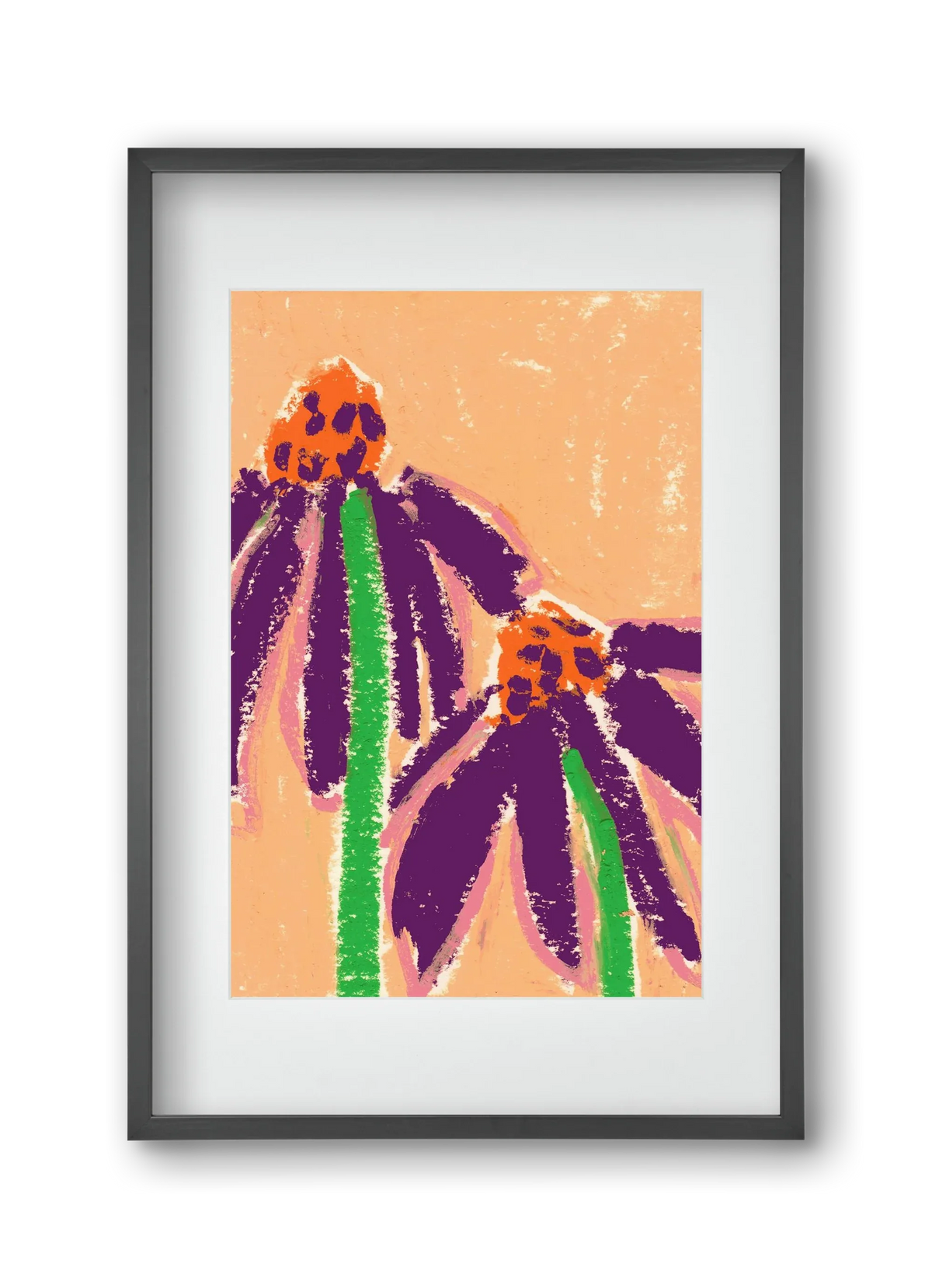 Echinacea - artbridge
