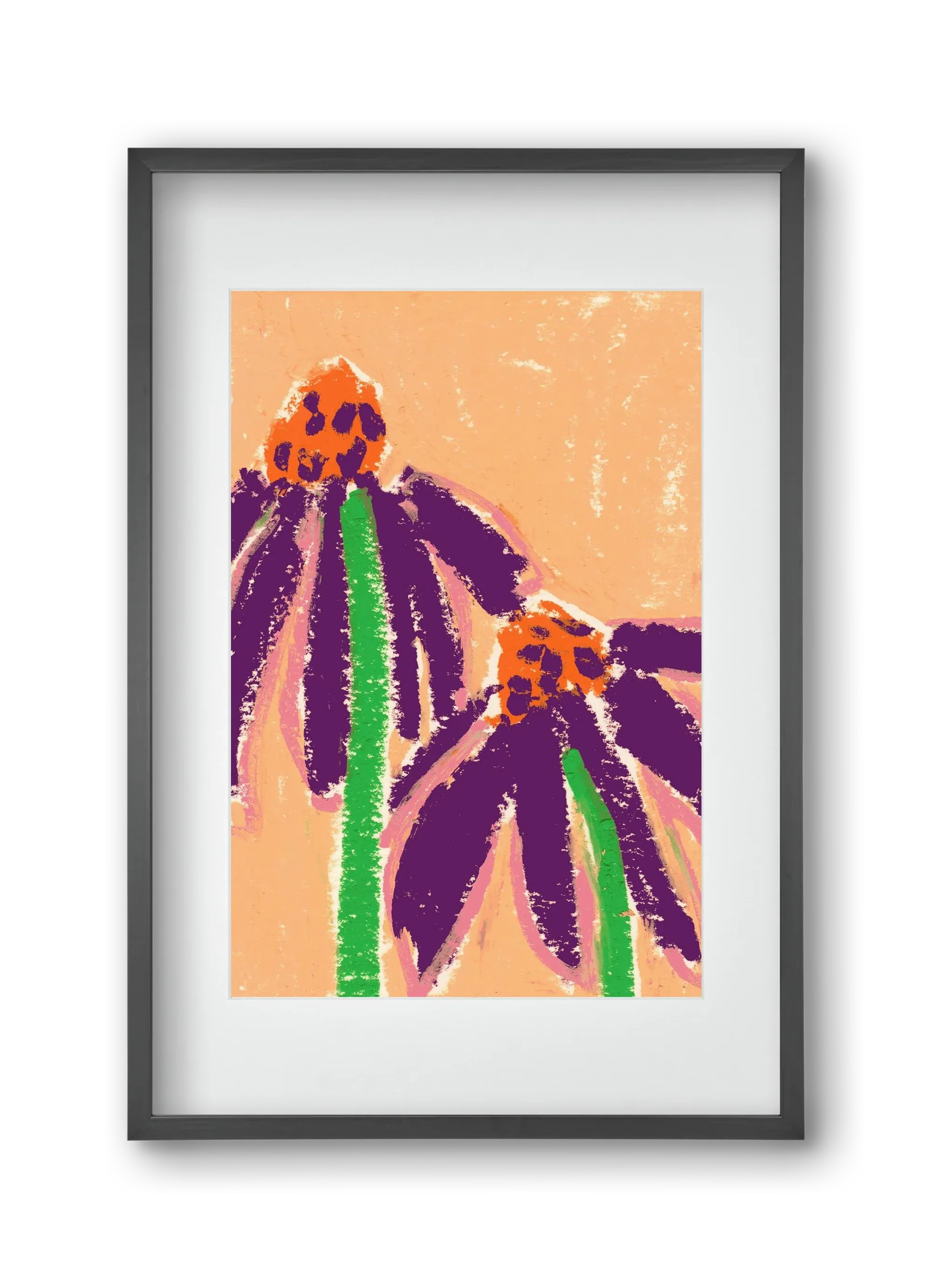 Echinacea - artbridge