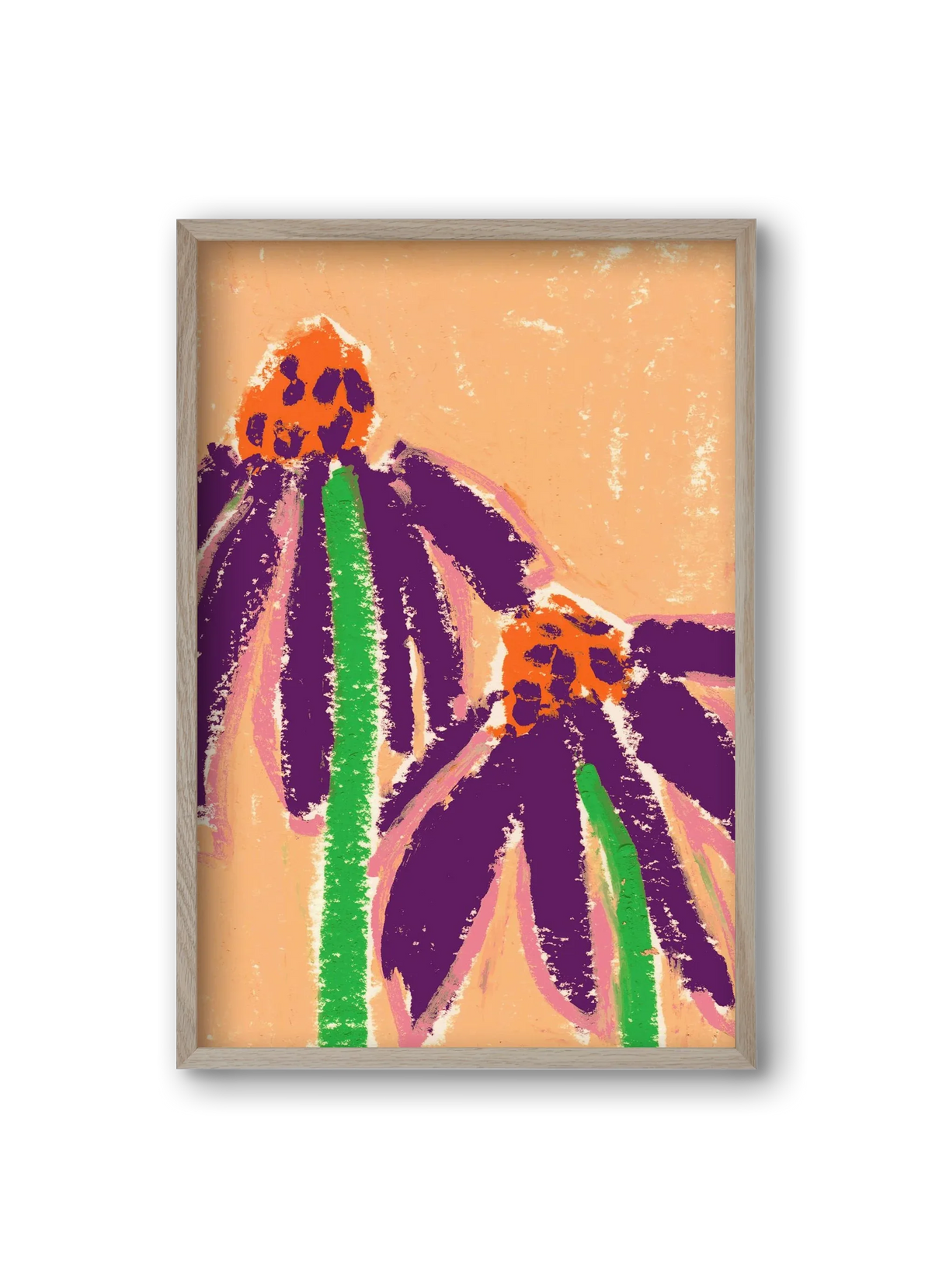 Echinacea - artbridge