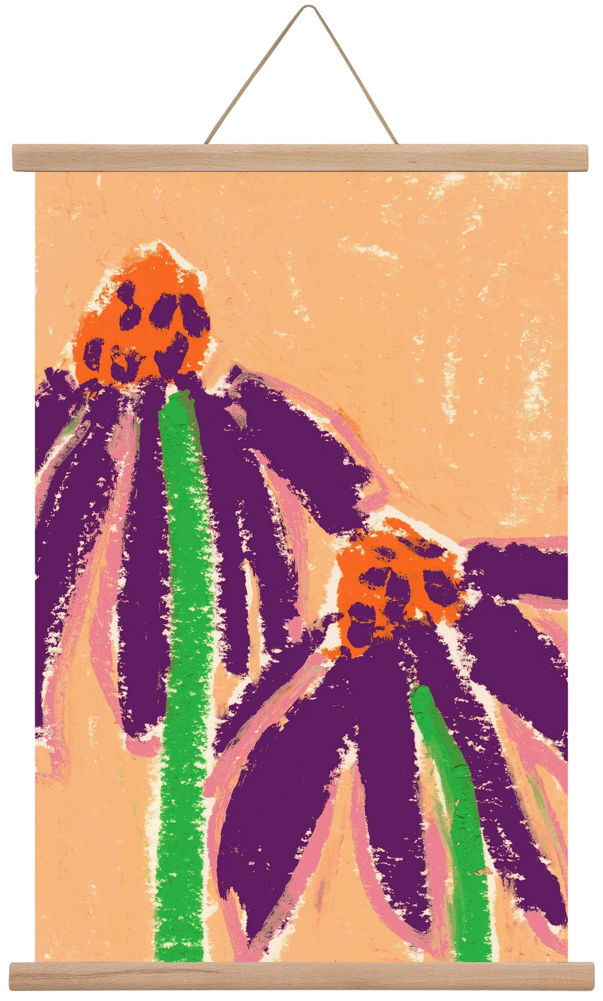 Echinacea - artbridge