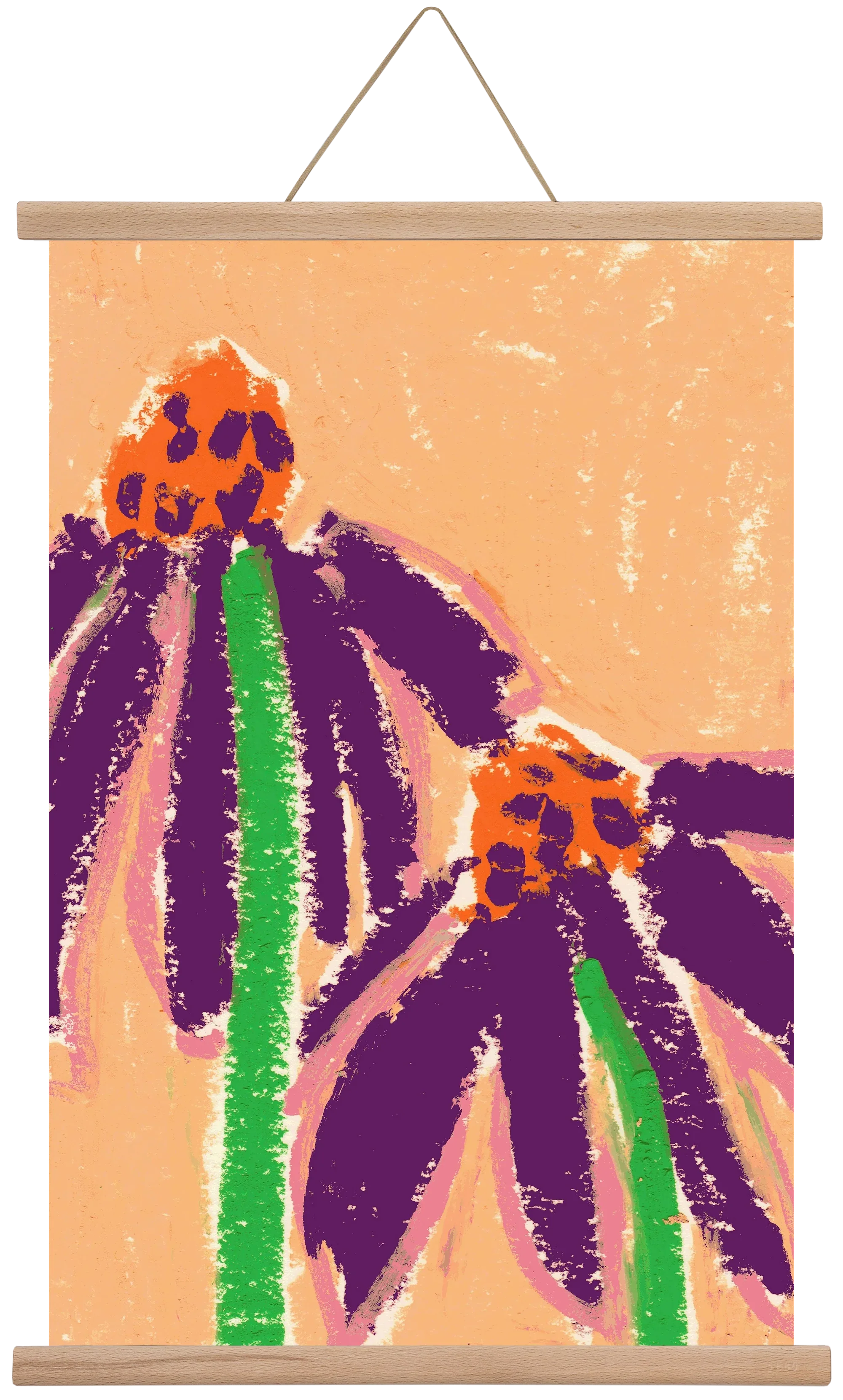Echinacea - artbridge