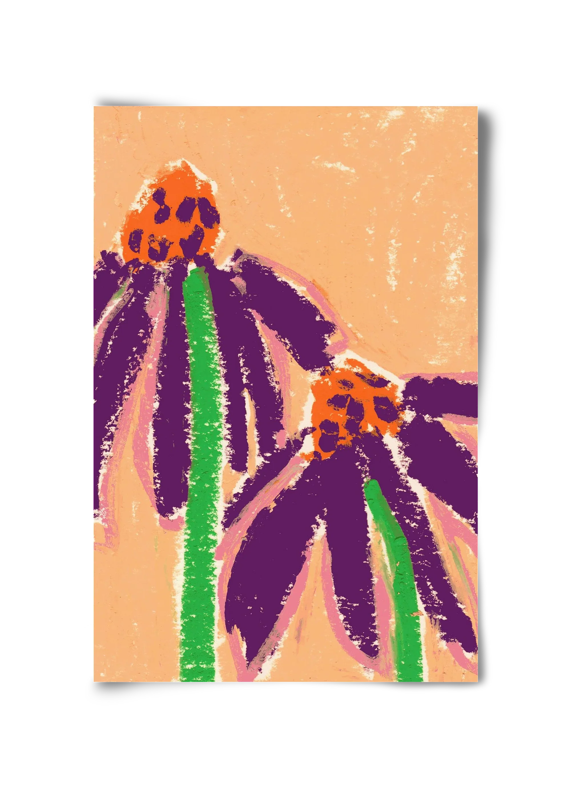 Echinacea - artbridge