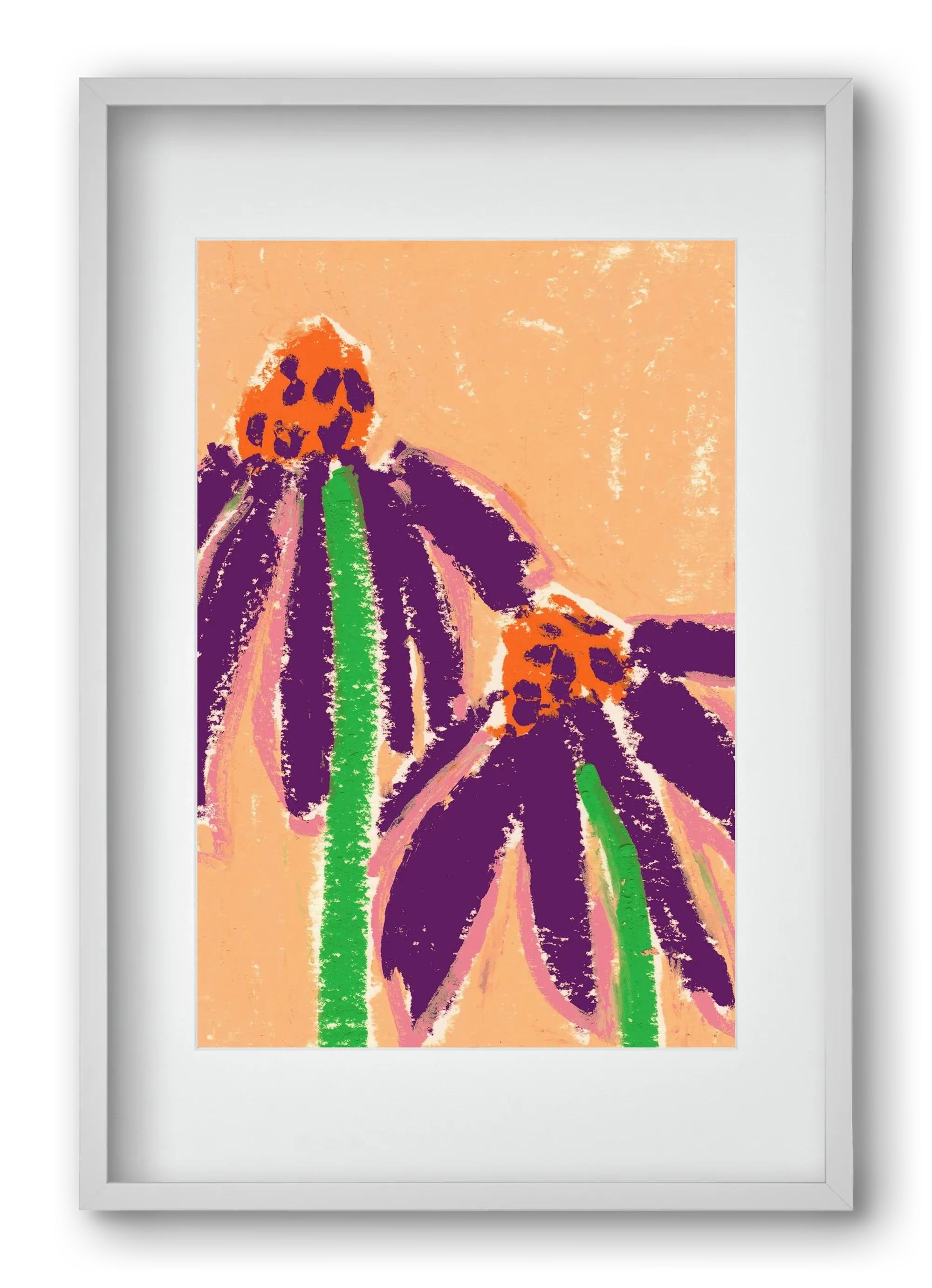 Echinacea - artbridge