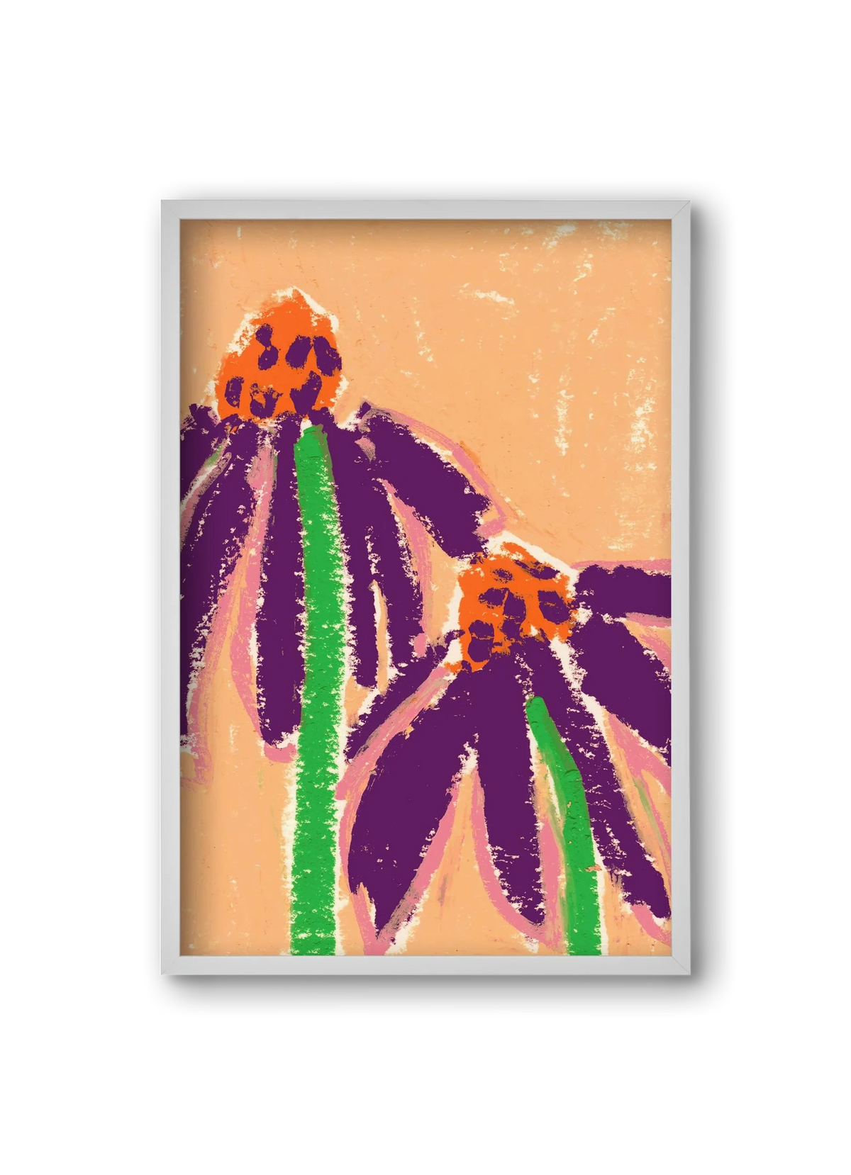 Echinacea - artbridge