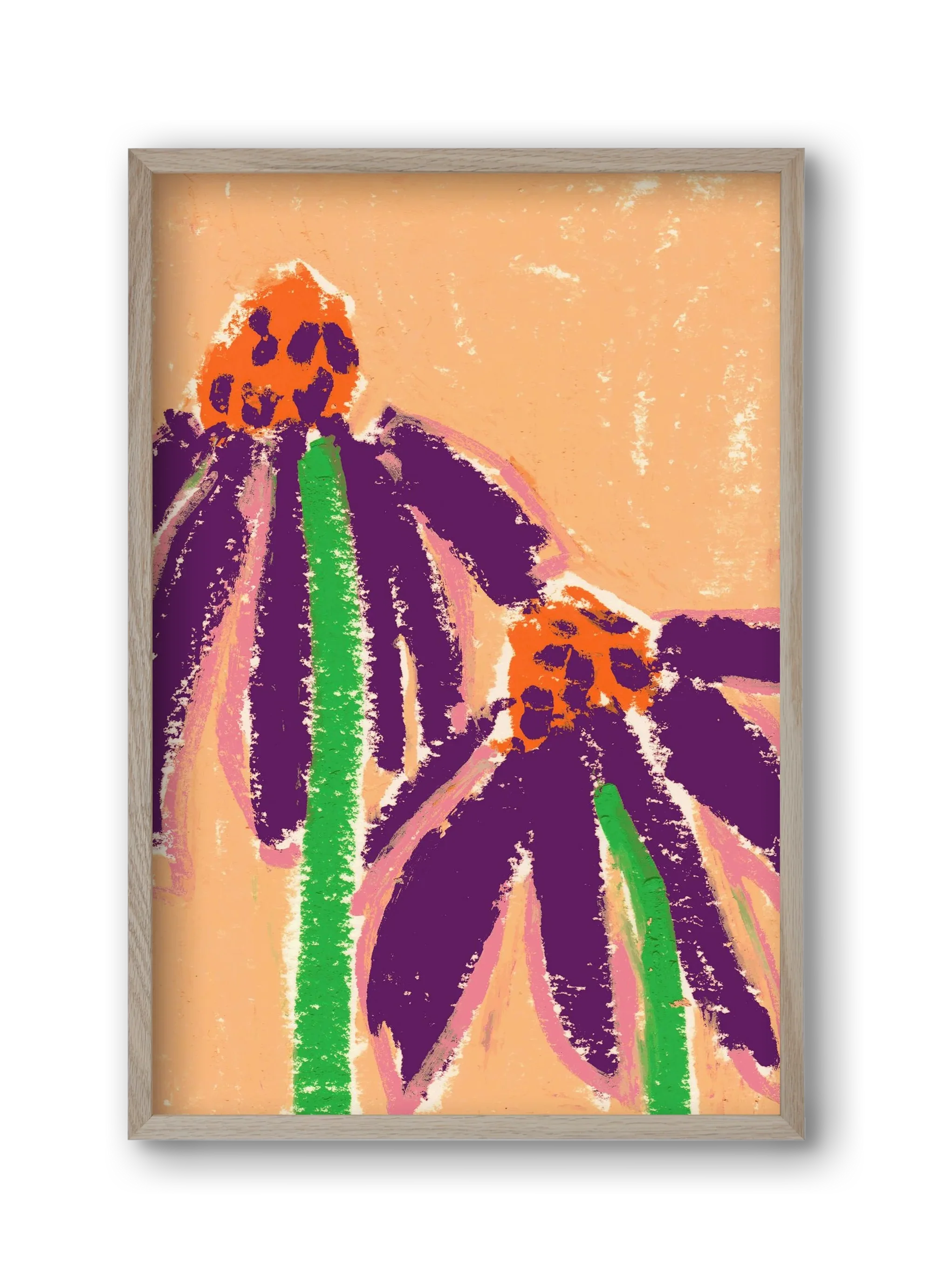 Echinacea - artbridge