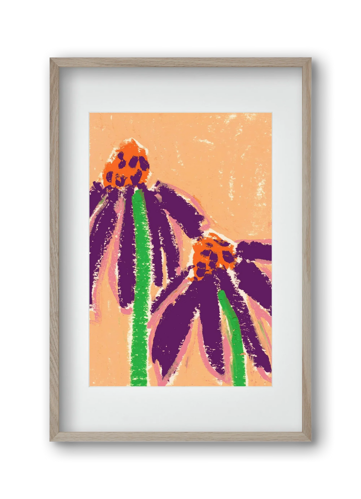 Echinacea - artbridge