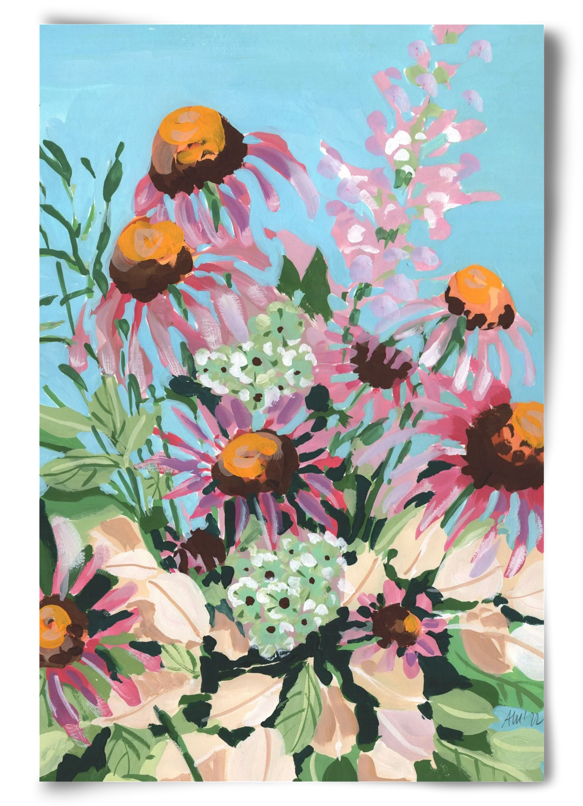 Echinacea purpurea - artbridge