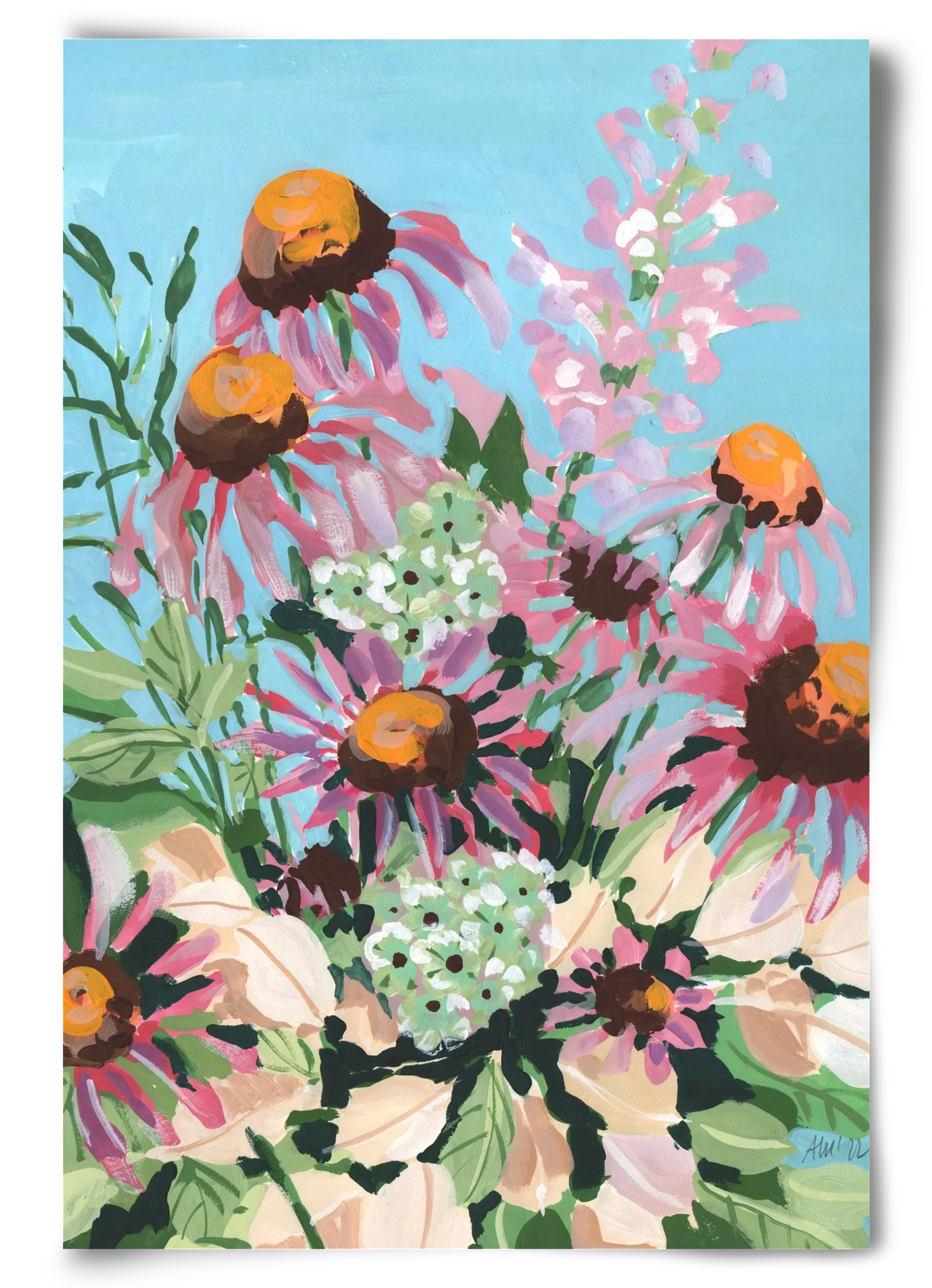 Echinacea purpurea - artbridge