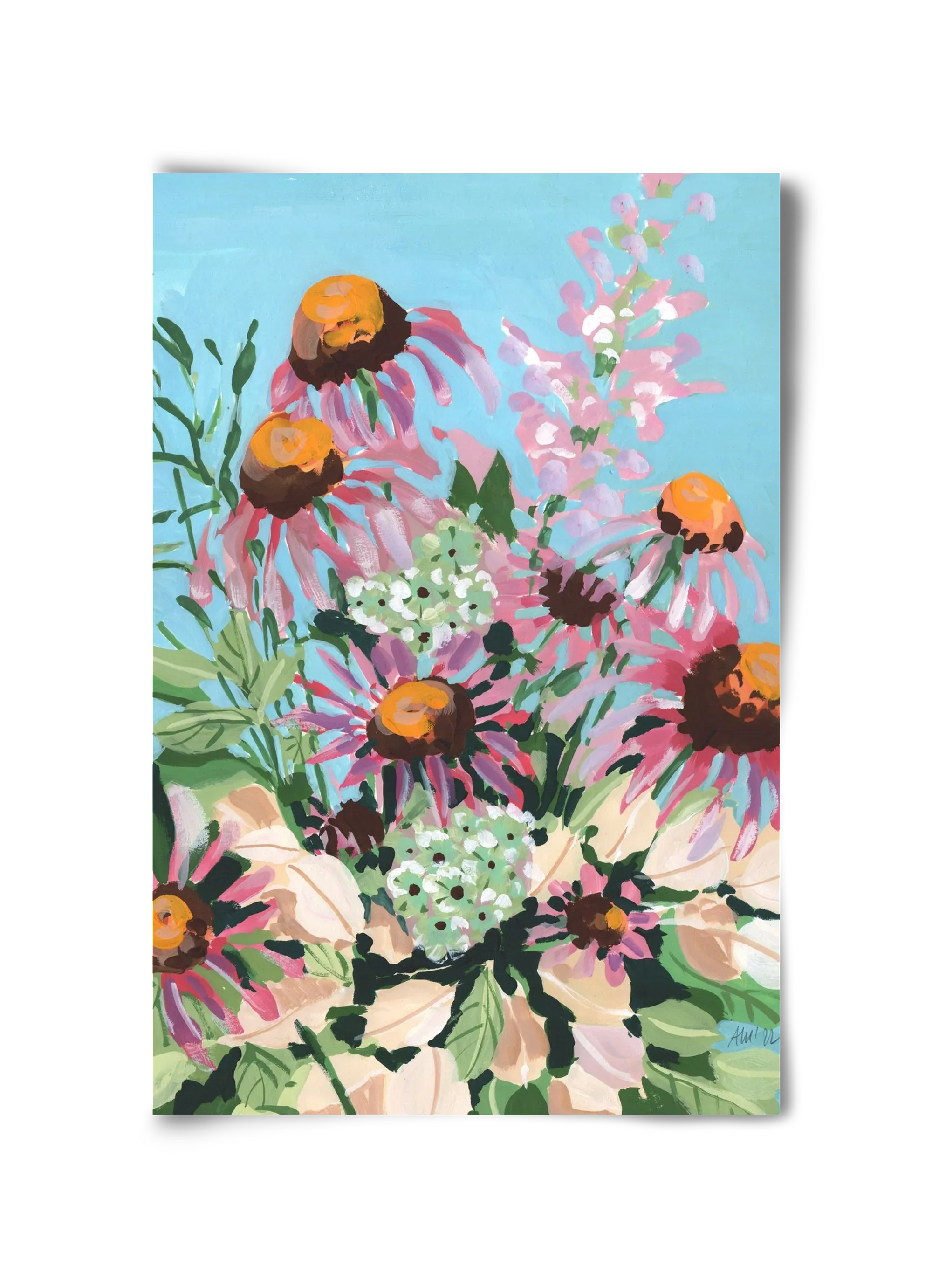 Echinacea purpurea - artbridge