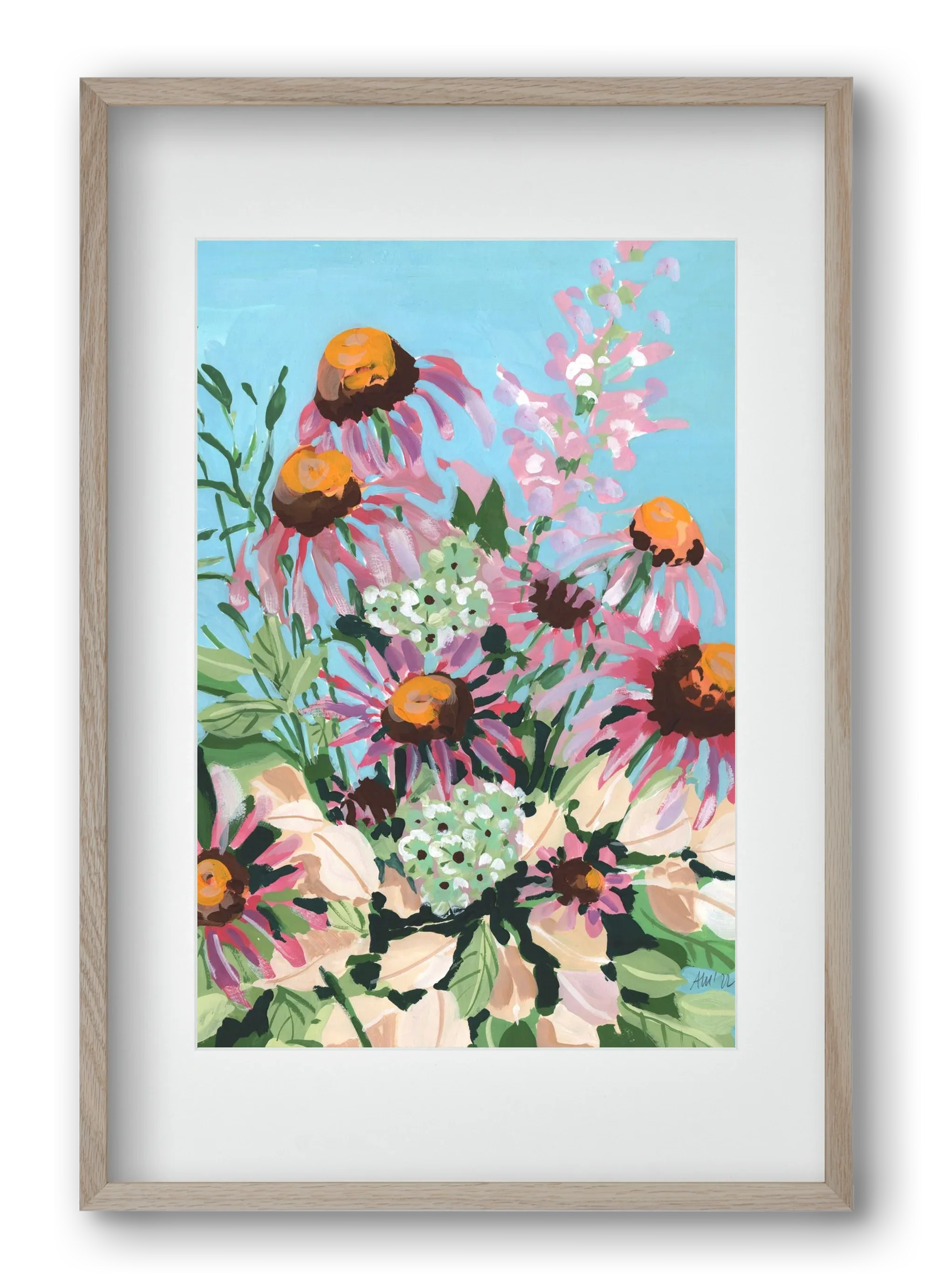 Echinacea purpurea - artbridge