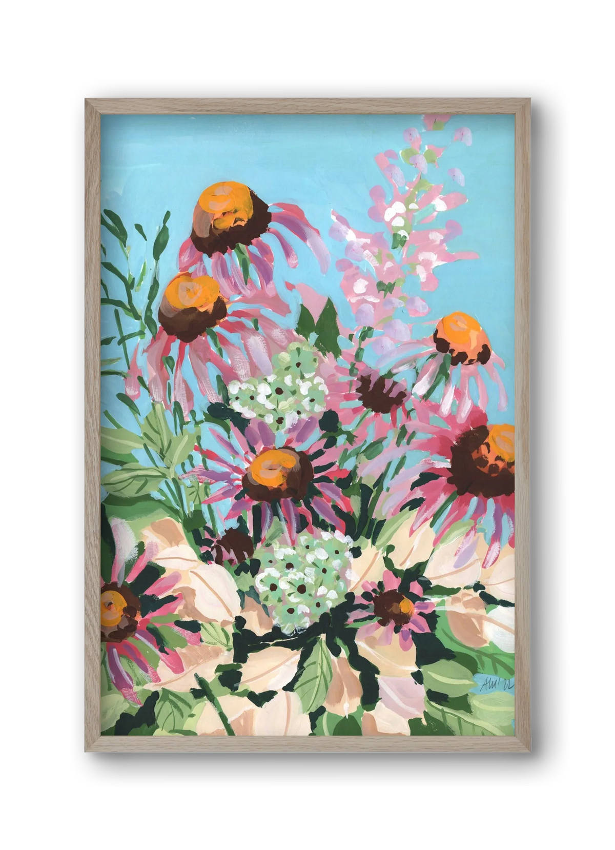 Echinacea purpurea - artbridge