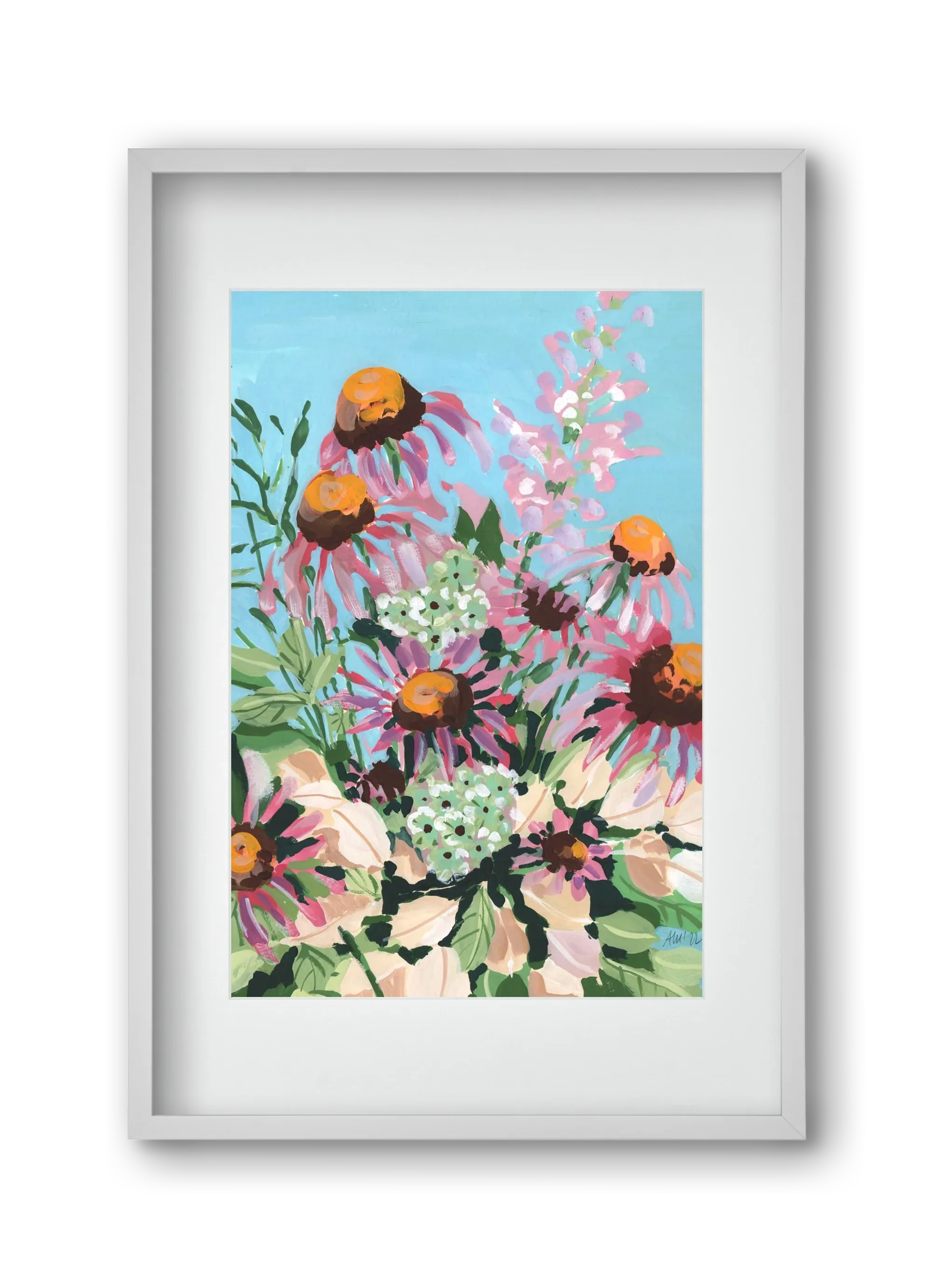 Echinacea purpurea - artbridge
