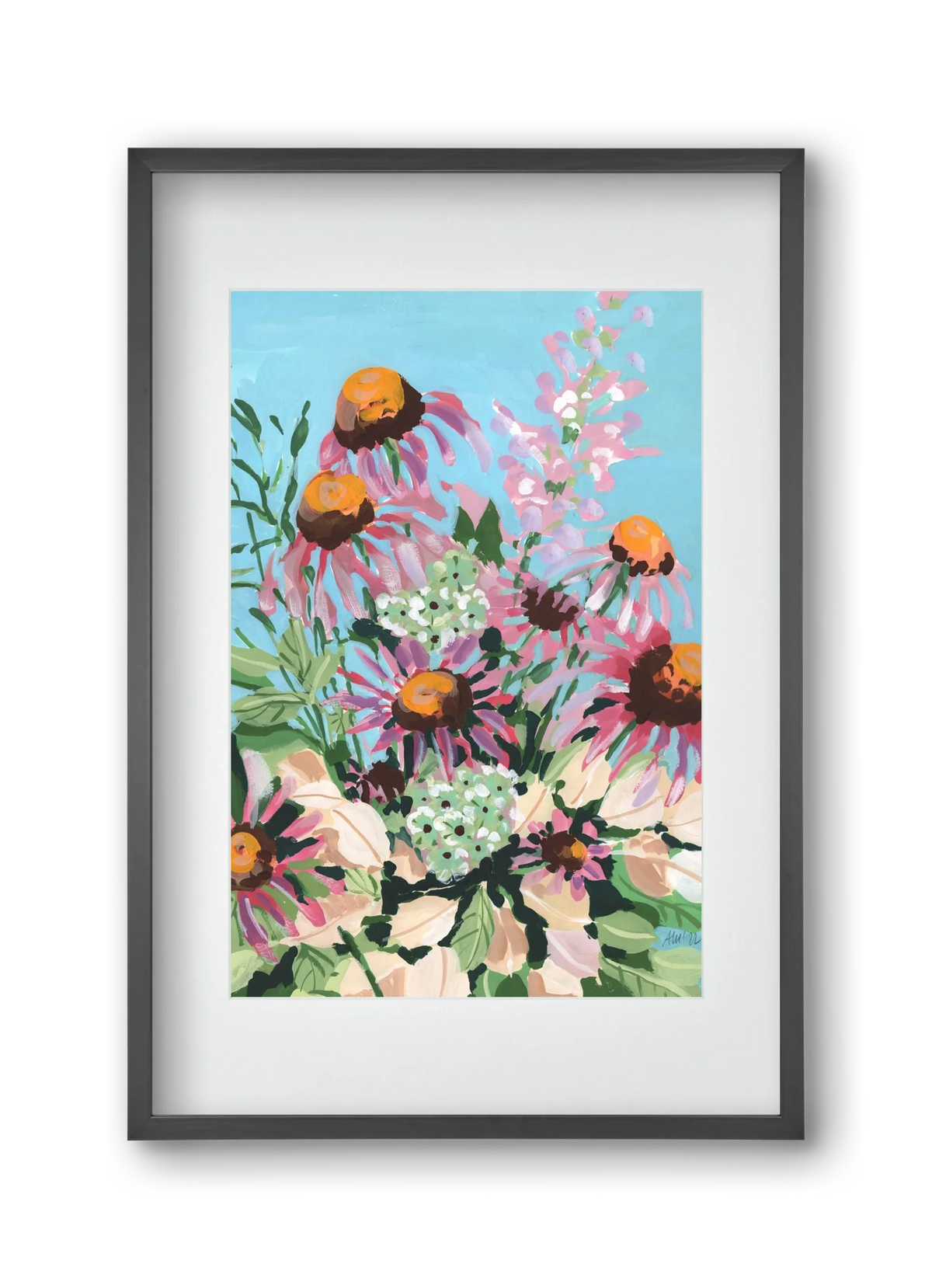 Echinacea purpurea - artbridge