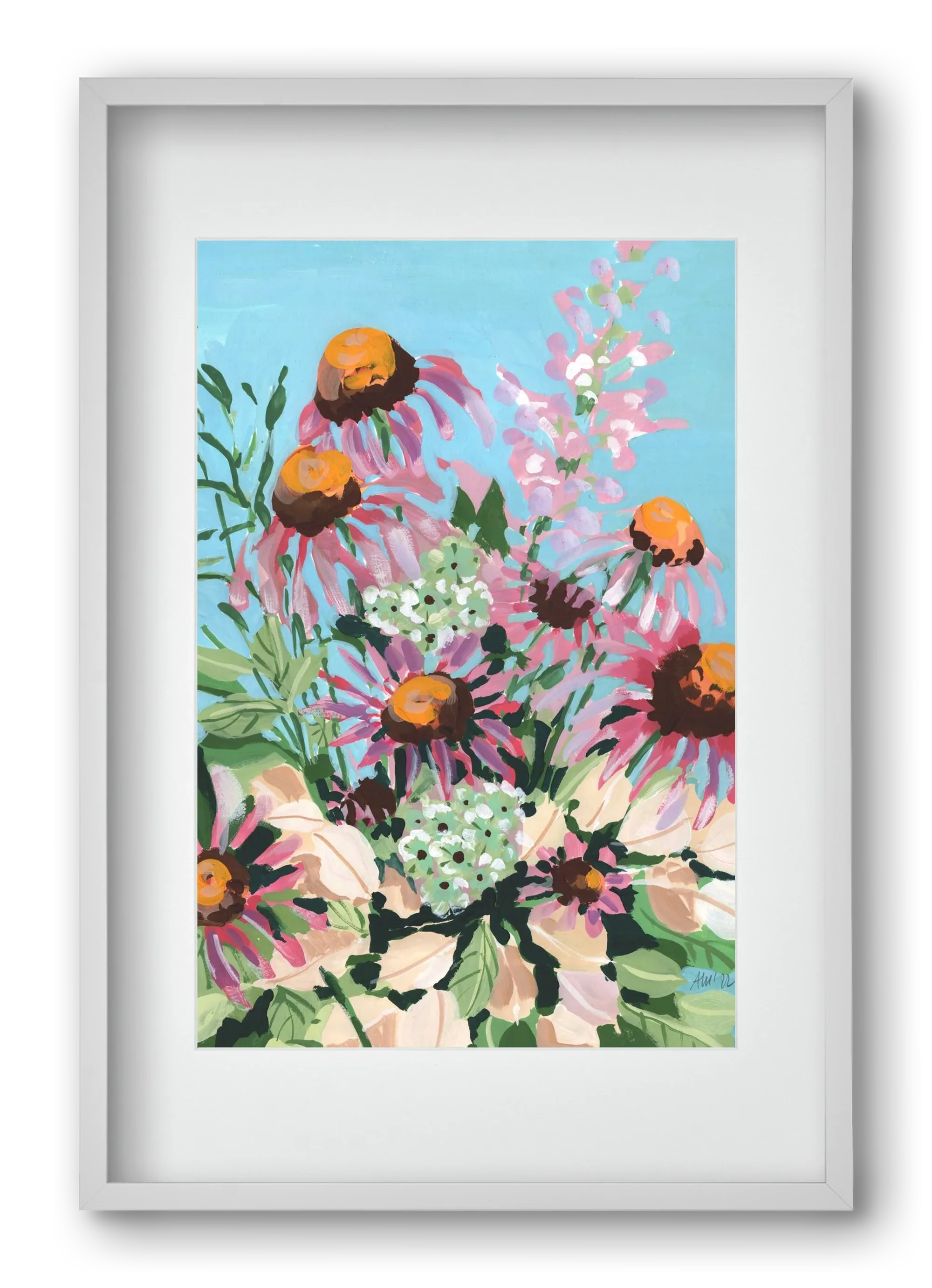 Echinacea purpurea - artbridge
