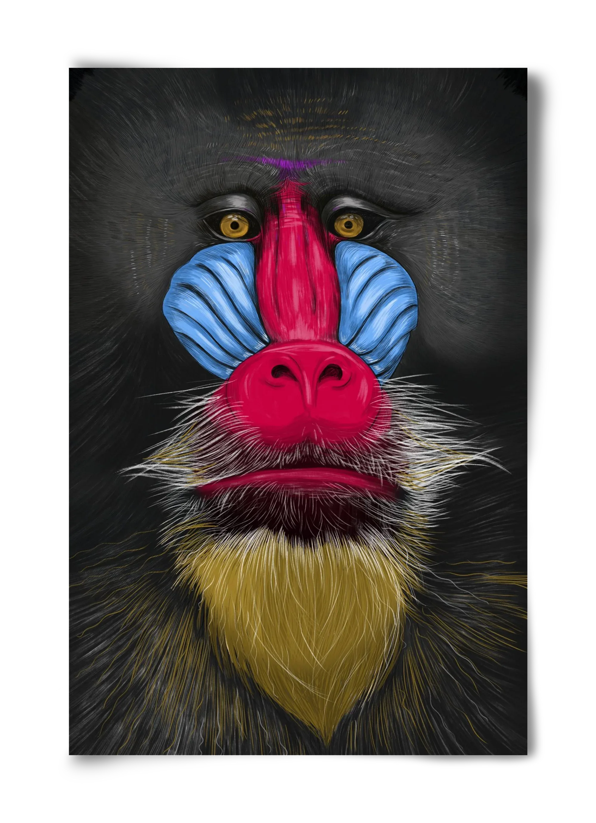 Monkey illustration - artbridge