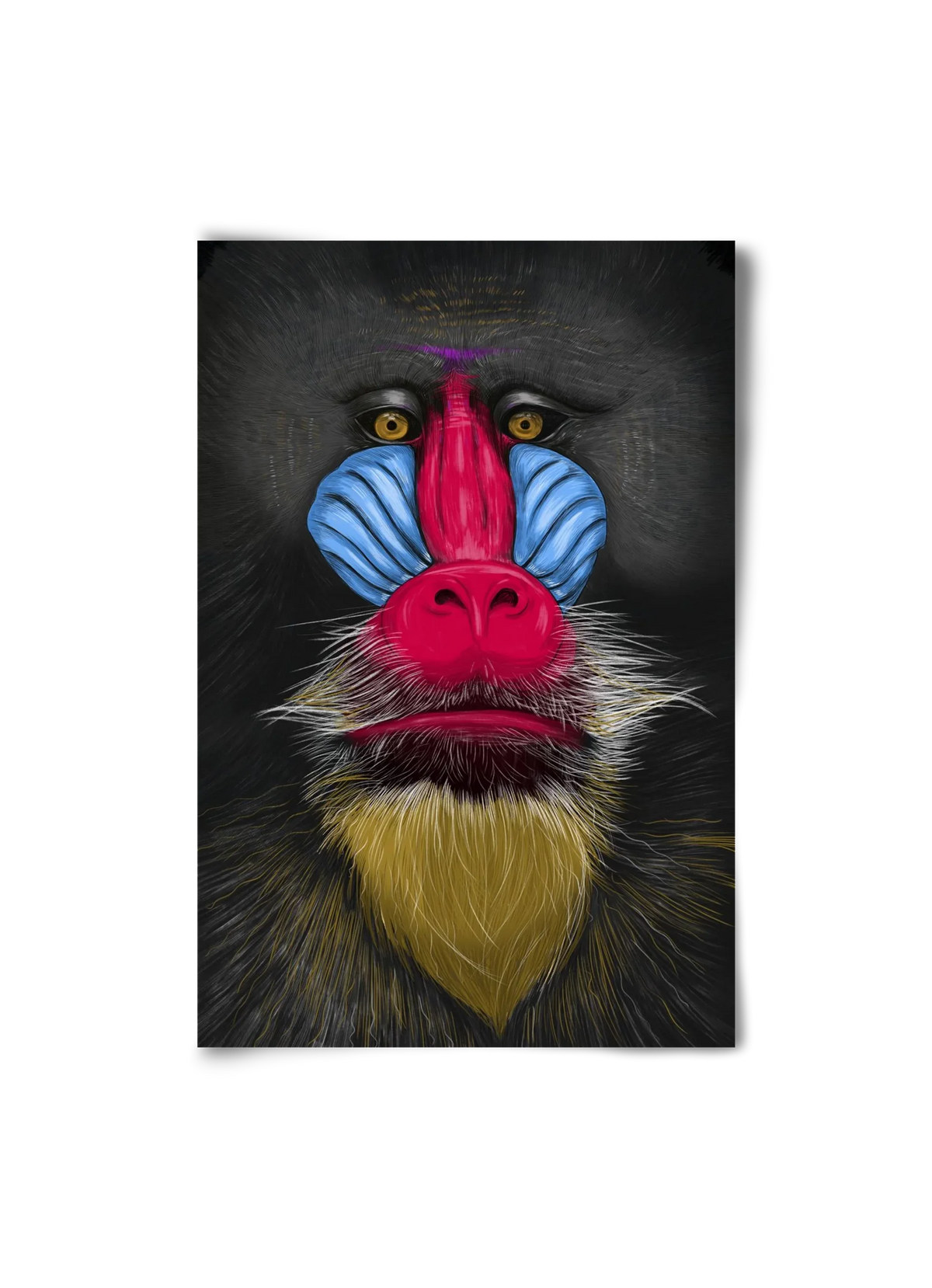 Monkey illustration - artbridge