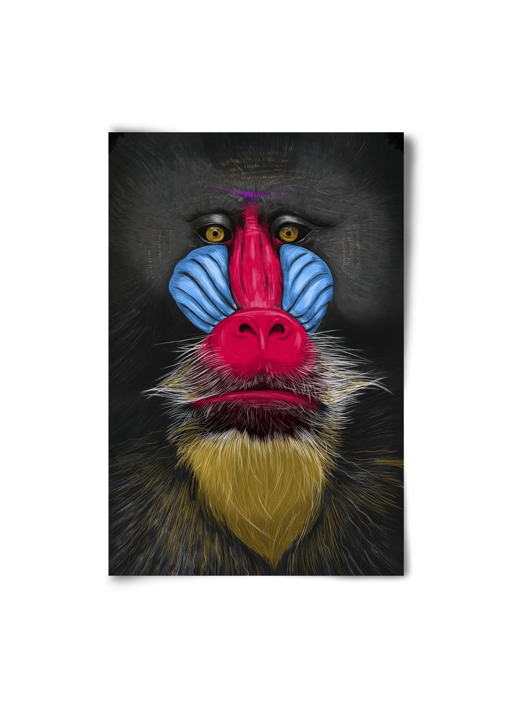 Monkey illustration - artbridge