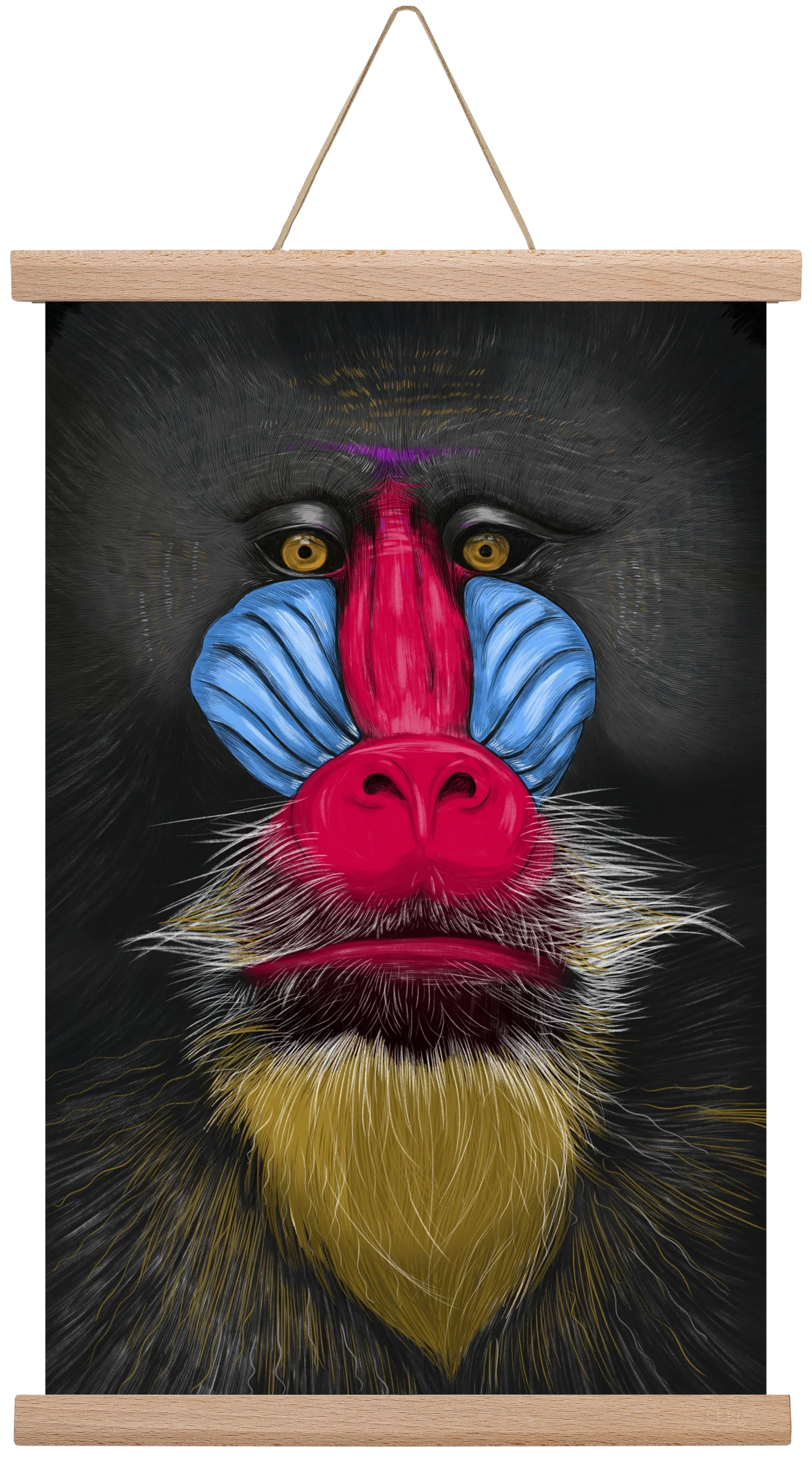 Monkey illustration - artbridge