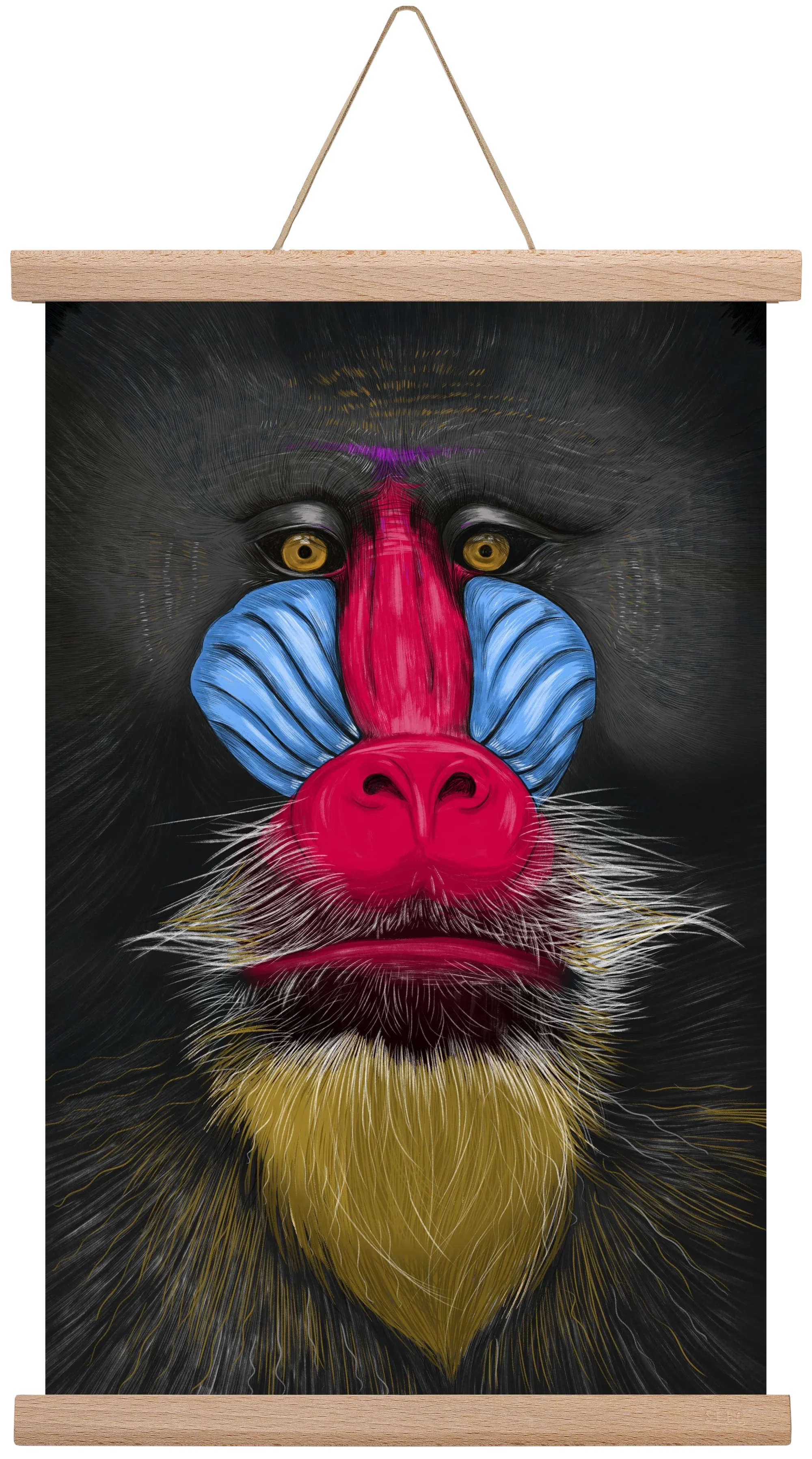 Monkey illustration - artbridge
