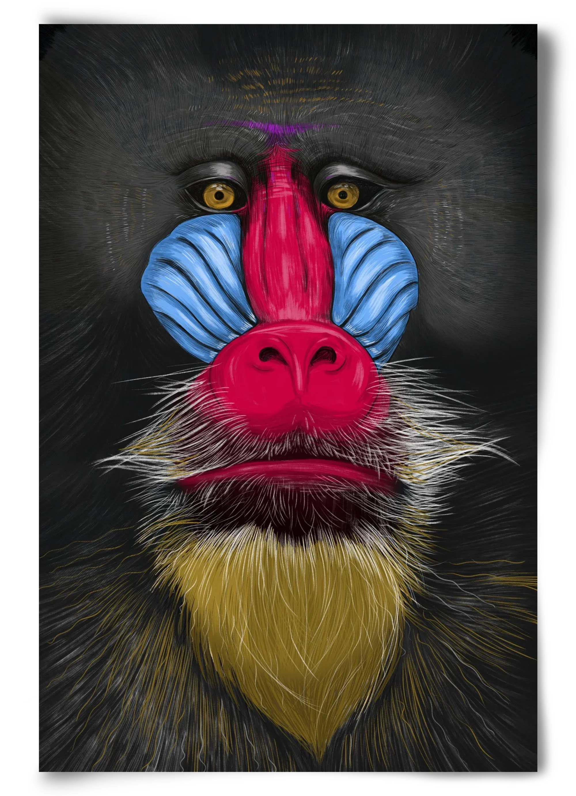 Monkey illustration - artbridge