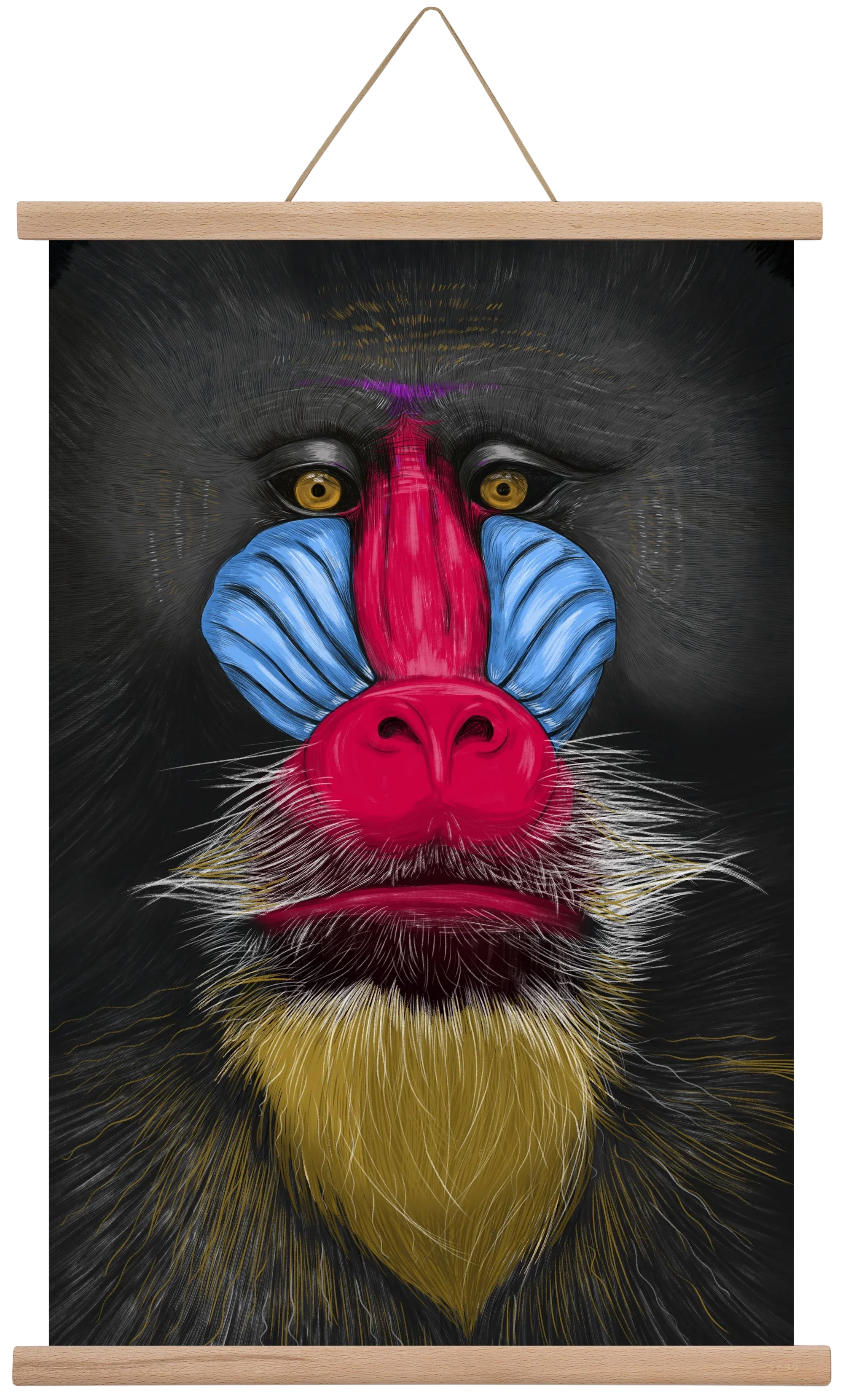 Monkey illustration - artbridge