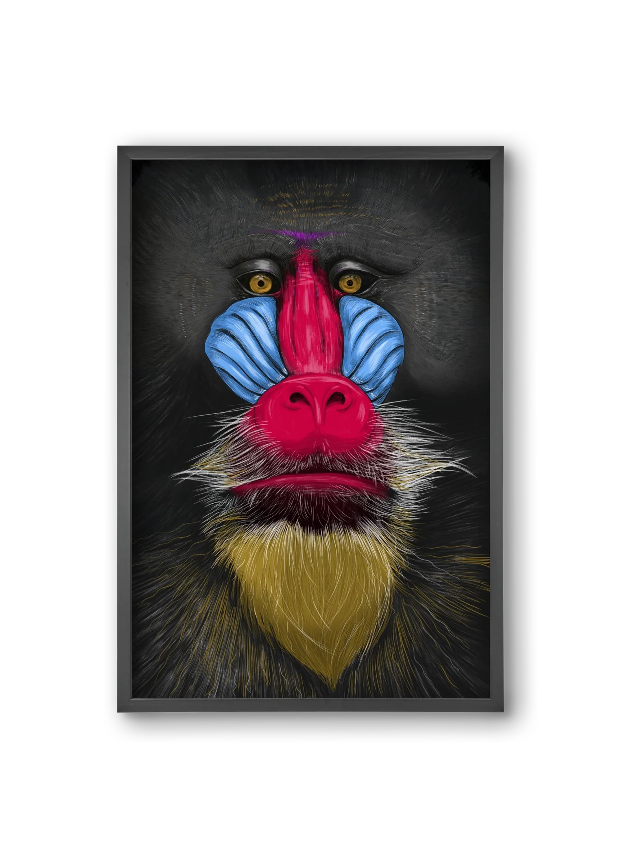 Monkey illustration - artbridge