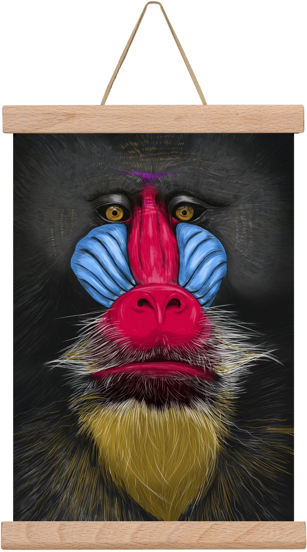 Monkey illustration - artbridge