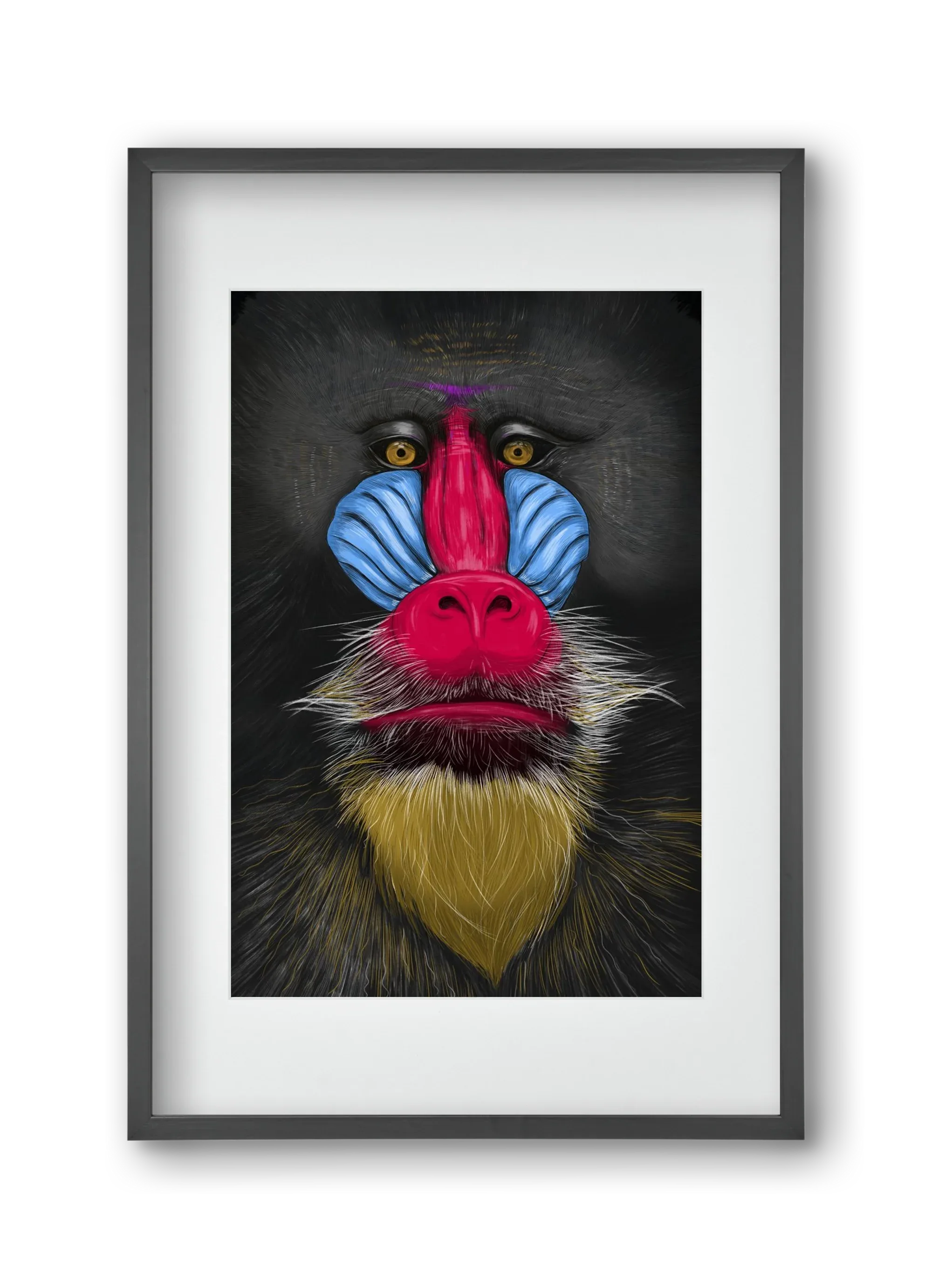 Monkey illustration - artbridge