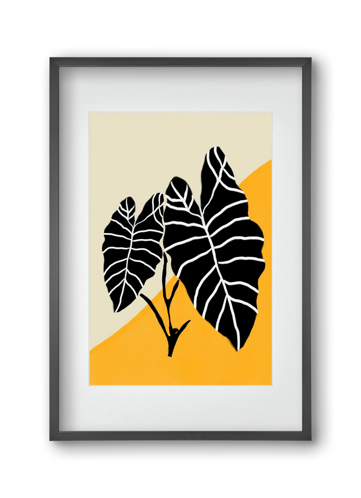 Alocasia - artbridge
