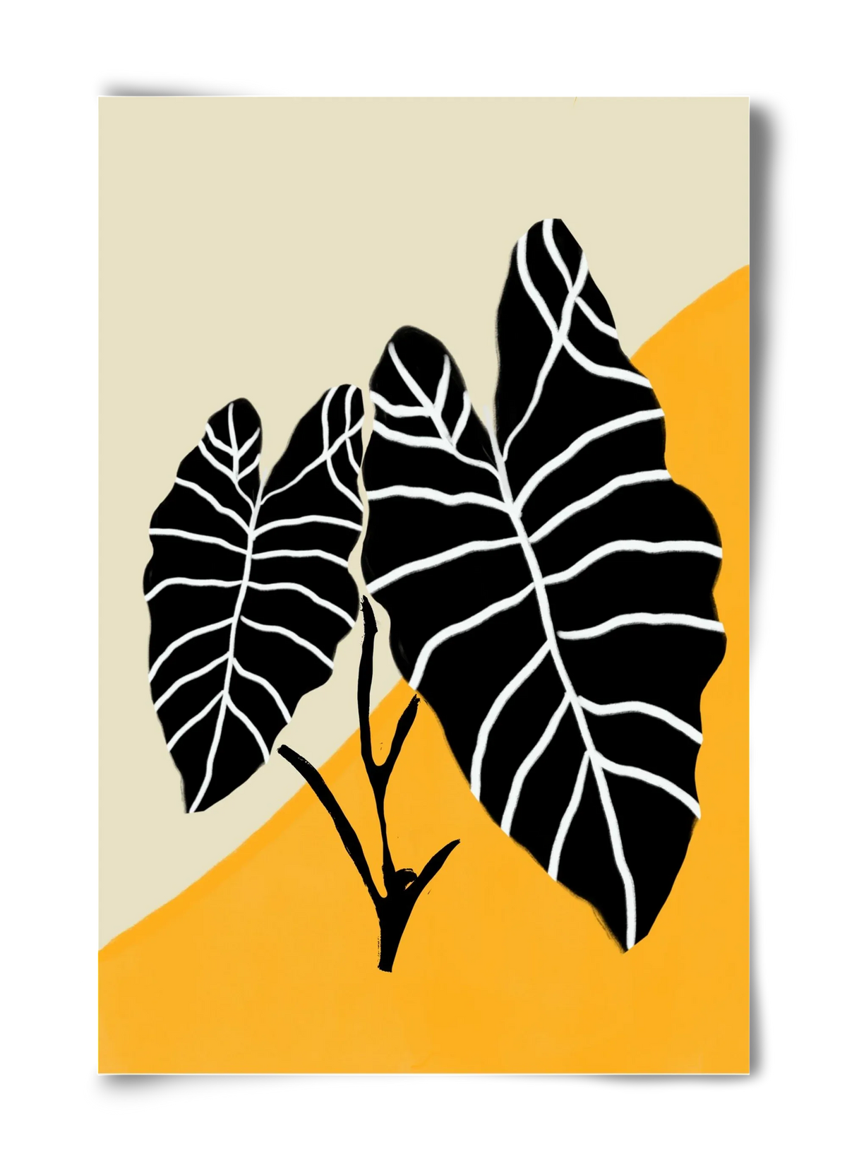 Alocasia - artbridge