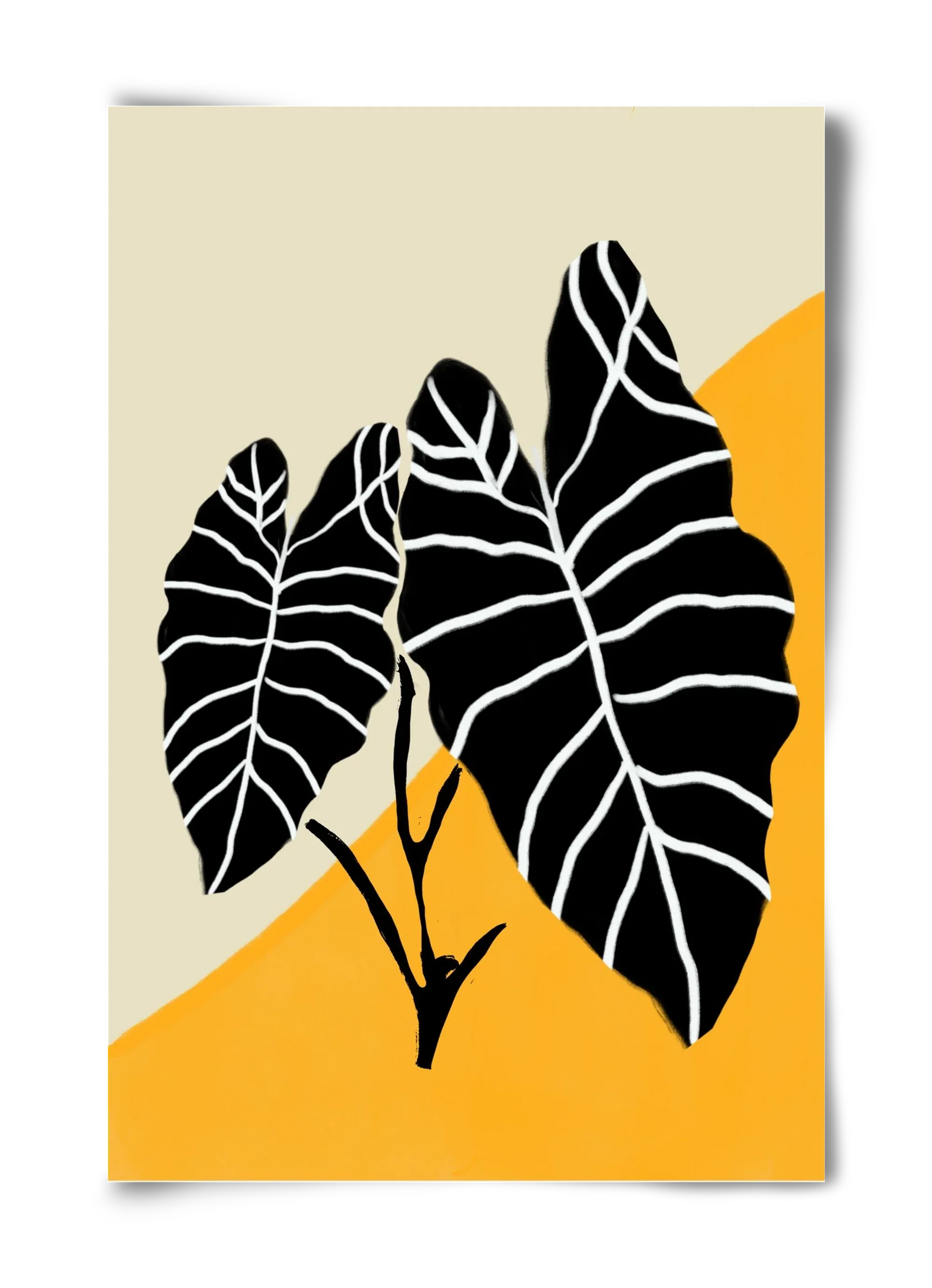 Alocasia - artbridge