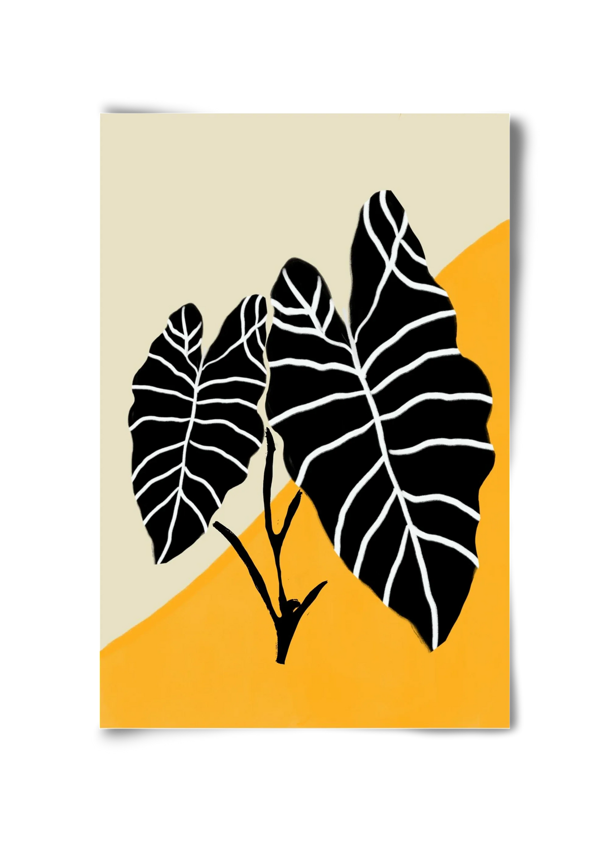 Alocasia - artbridge