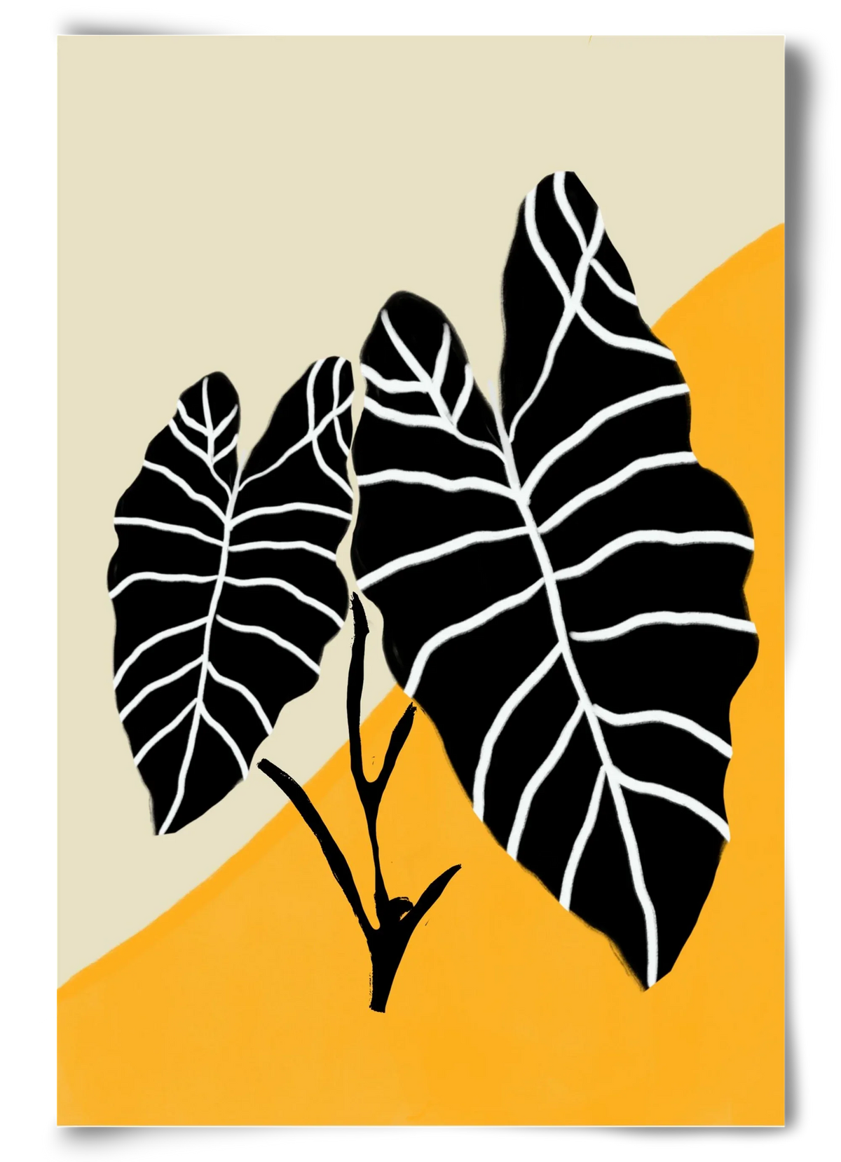 Alocasia - artbridge