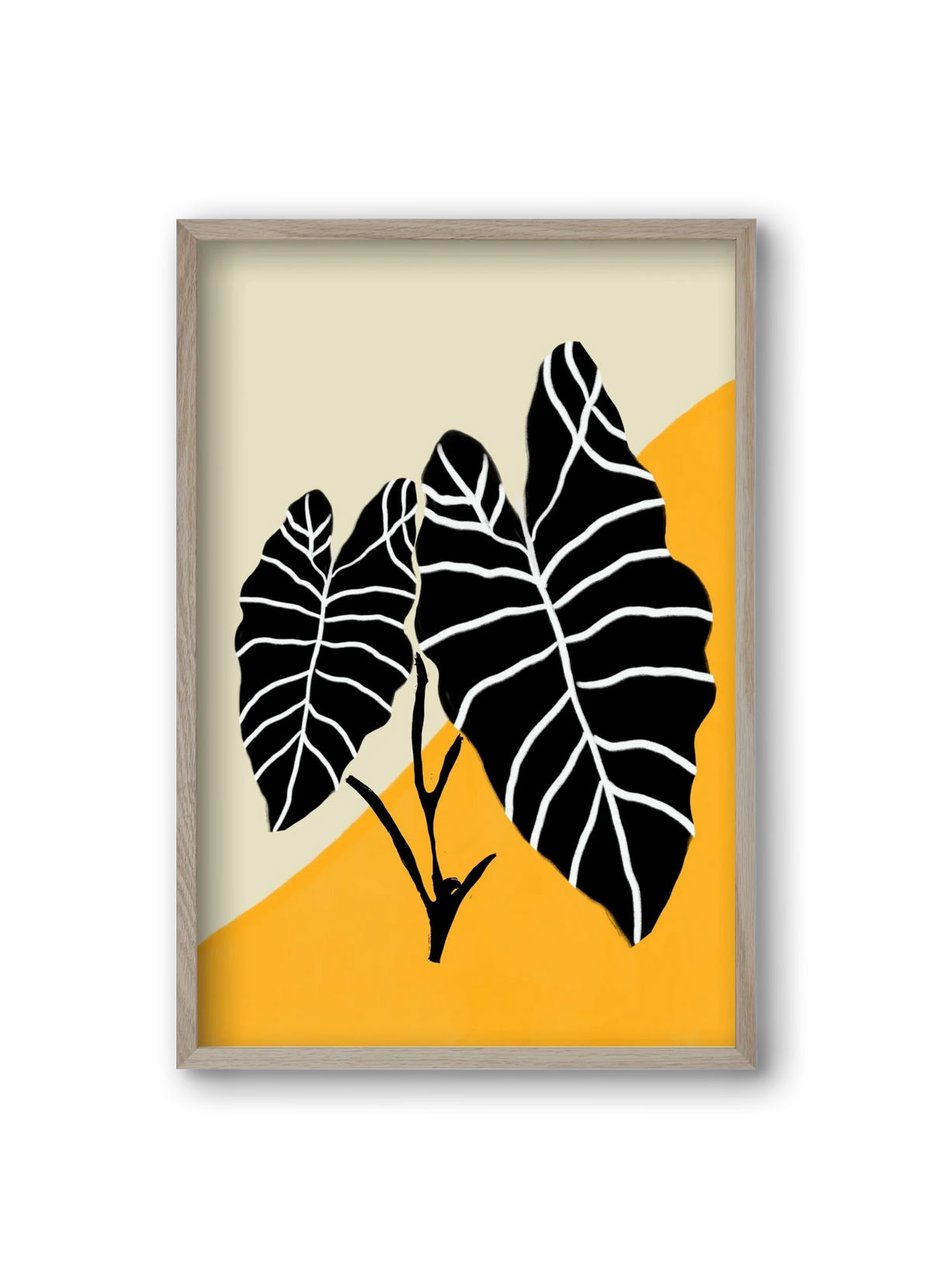 Alocasia - artbridge