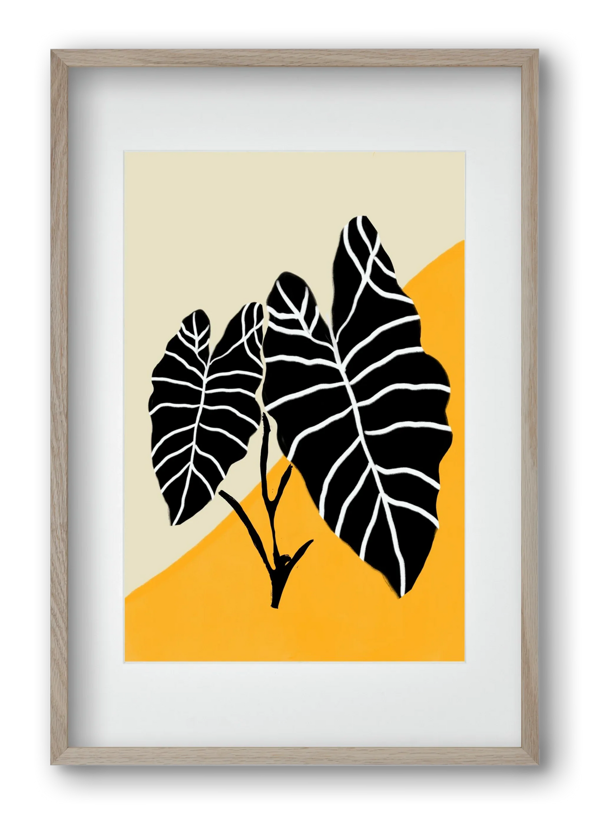 Alocasia - artbridge