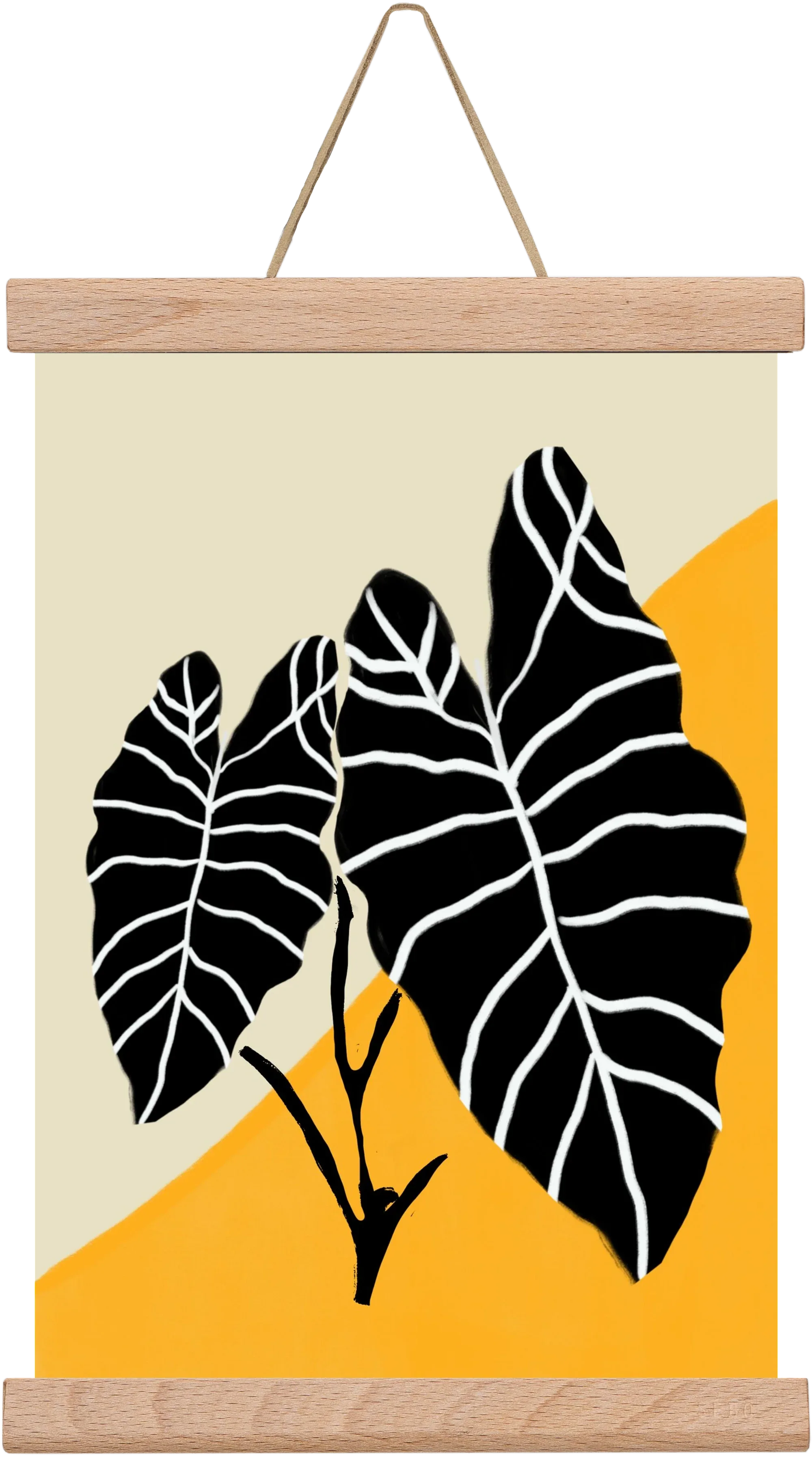 Alocasia - artbridge